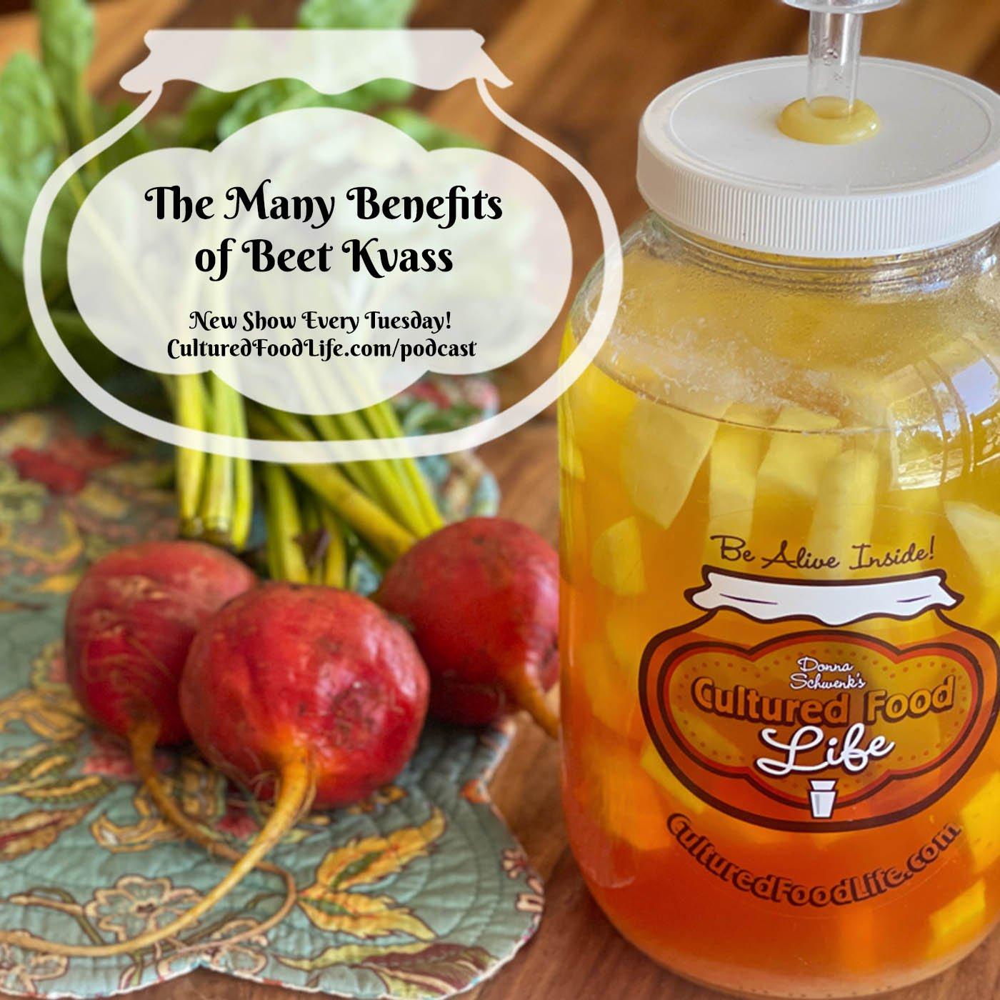 Episode 204: The Many Benefits of Beet Kvass