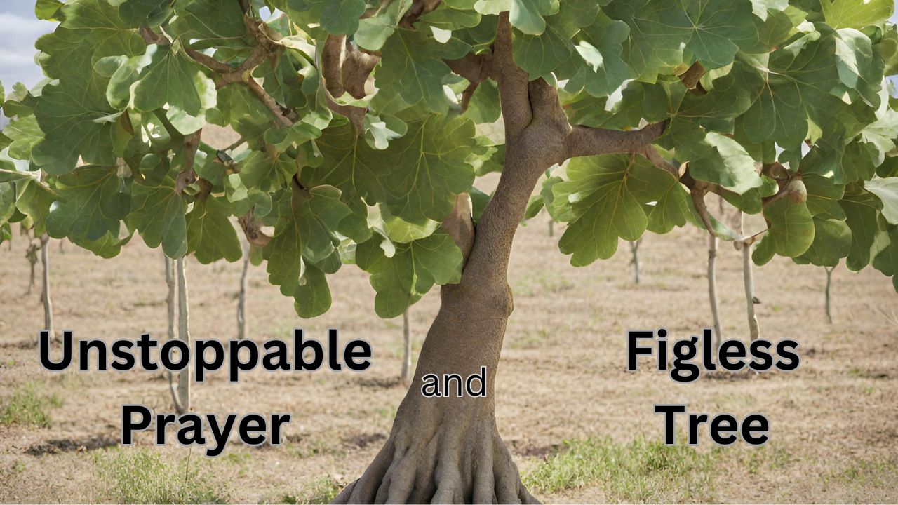 Unstoppable Prayer and Figless Tree, Matthew 21:18-22