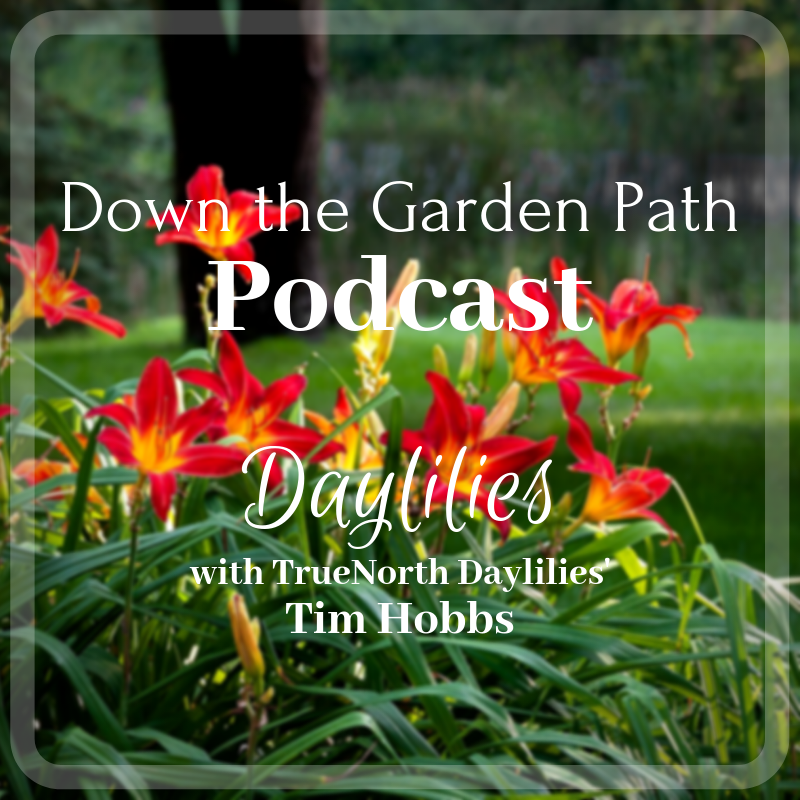 Down The Garden Path Podcast