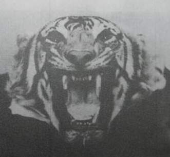 It Came From a Monster Movie!