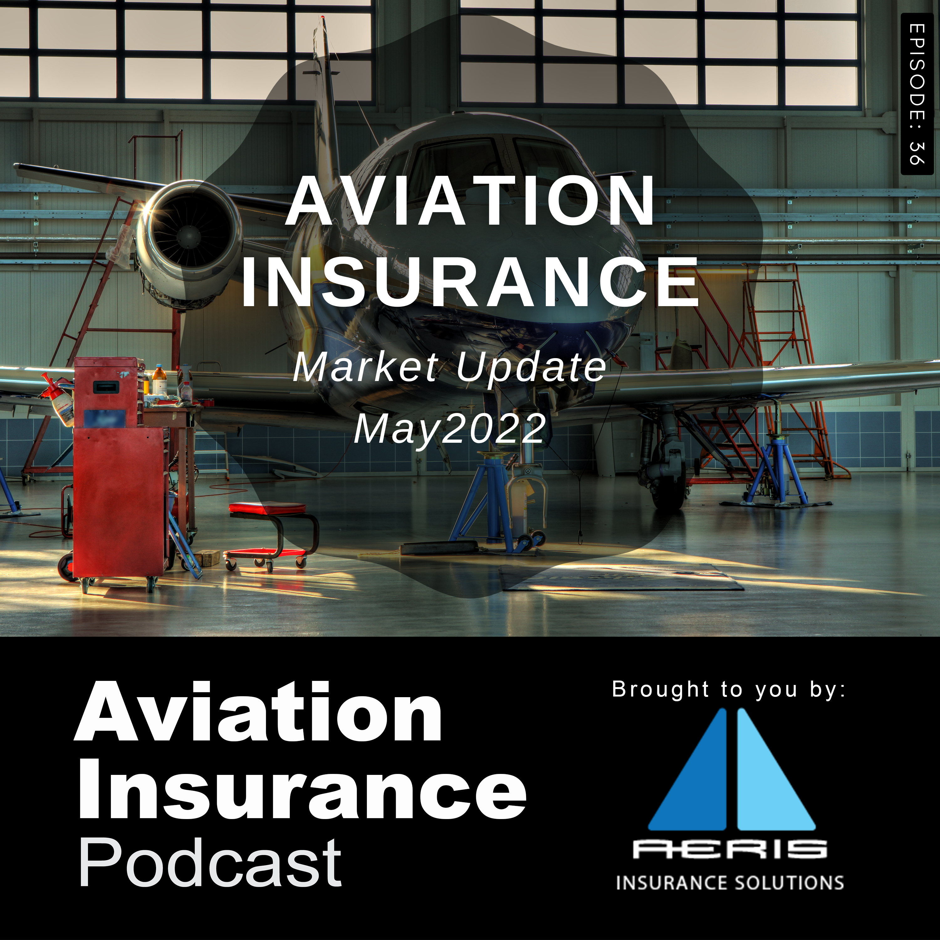 Episode 36: Aviation Insurance Market Update May 2022
