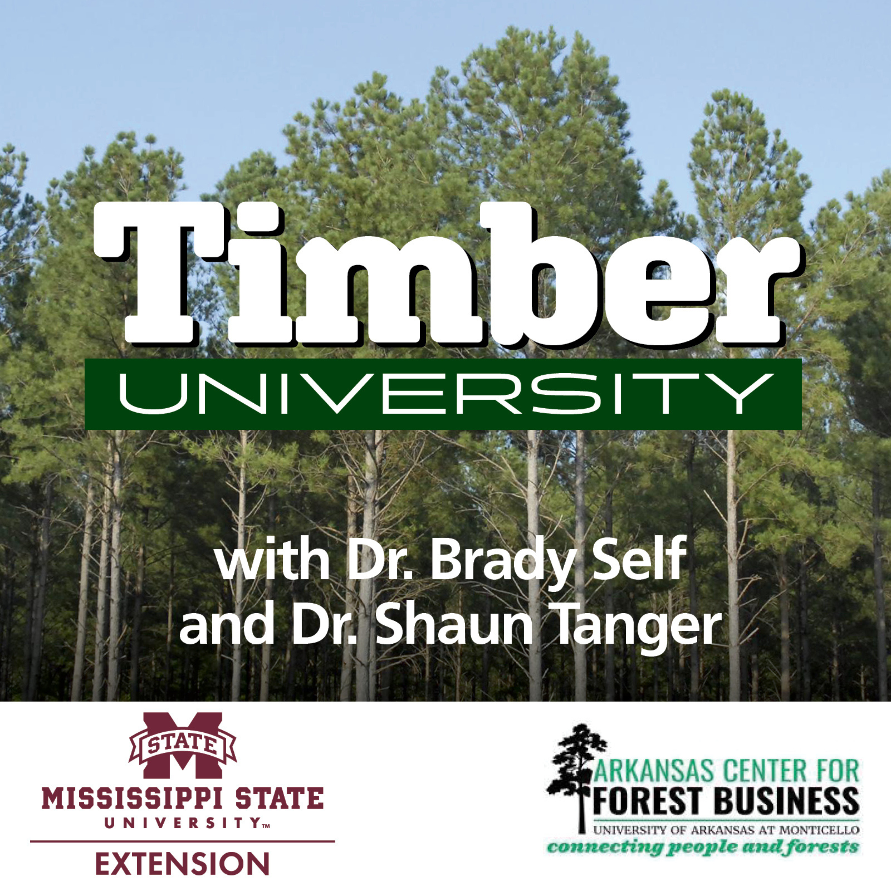 The Loper Decision and How it May Affect Forest Landowners | Timber University #359