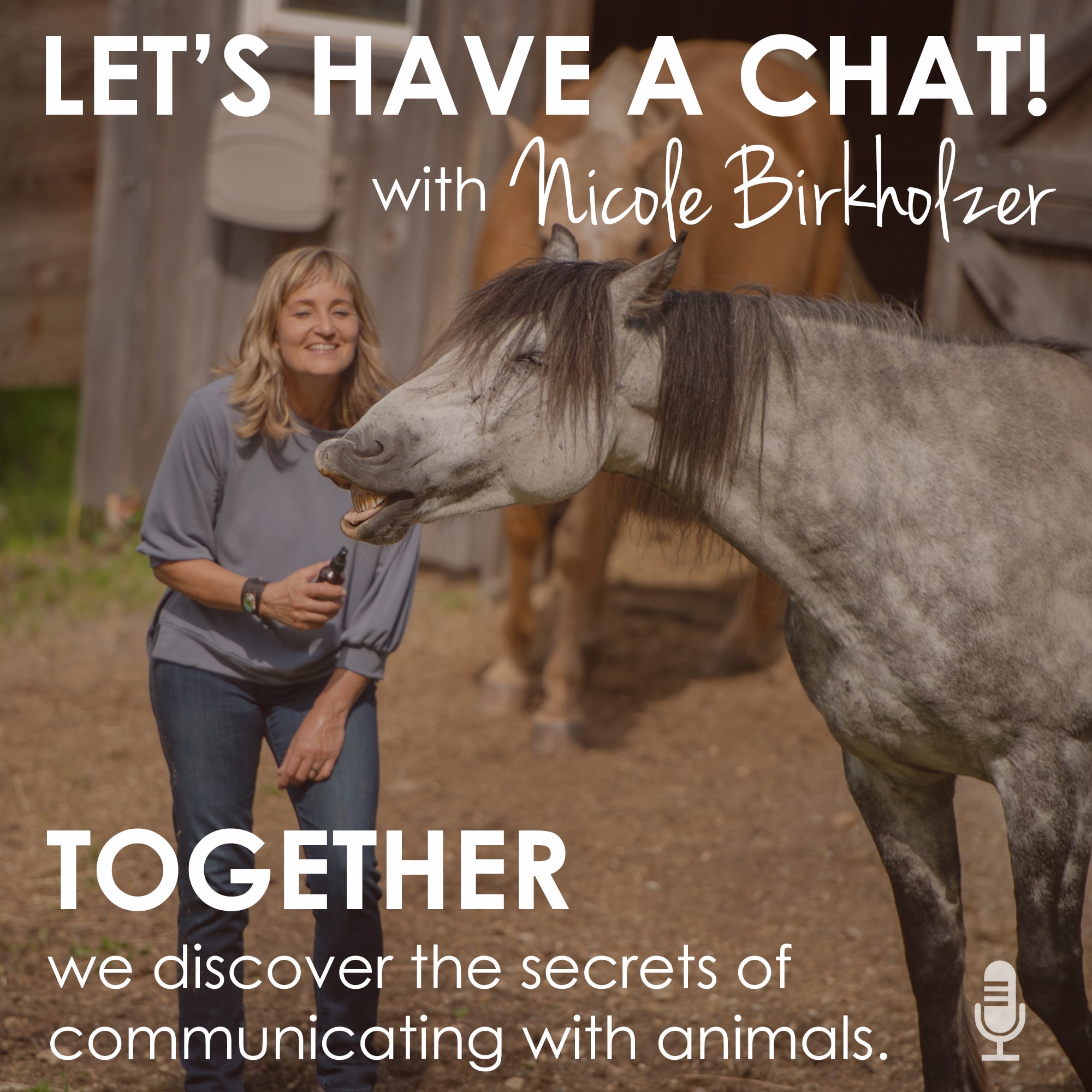 Let\'s Have A Chat!