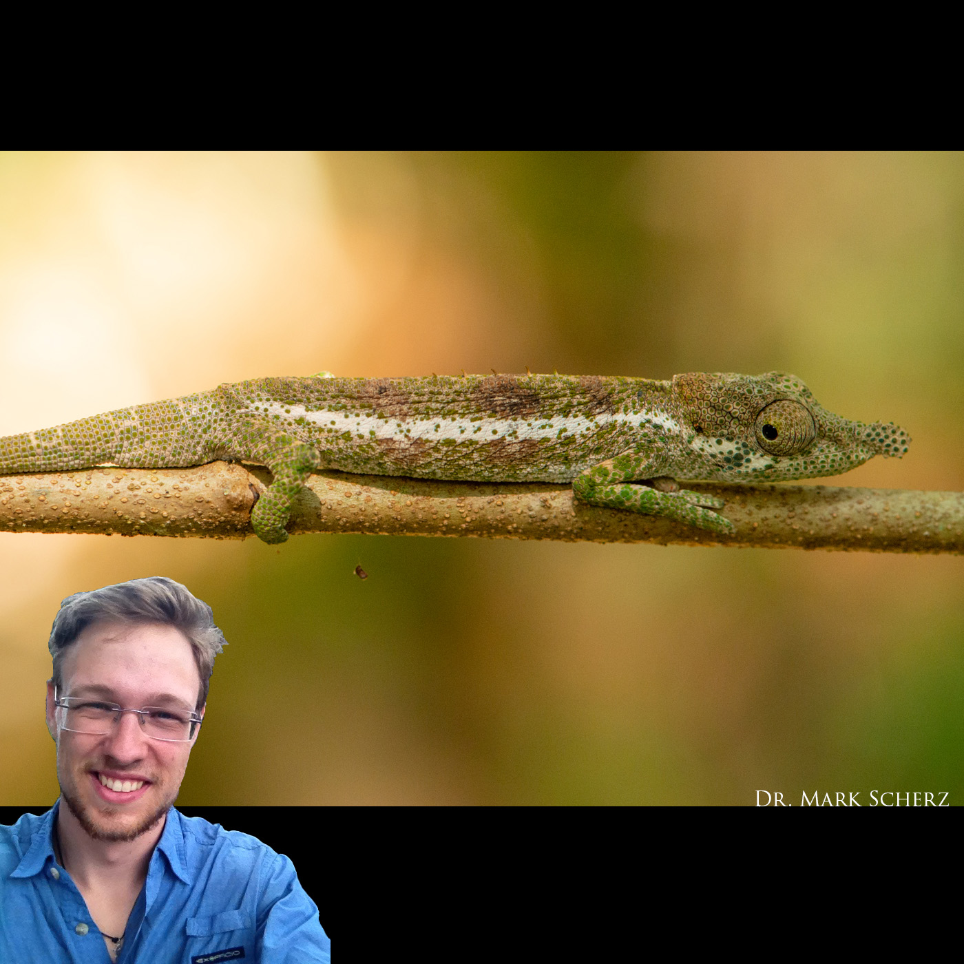Chameleon Academy Podcast