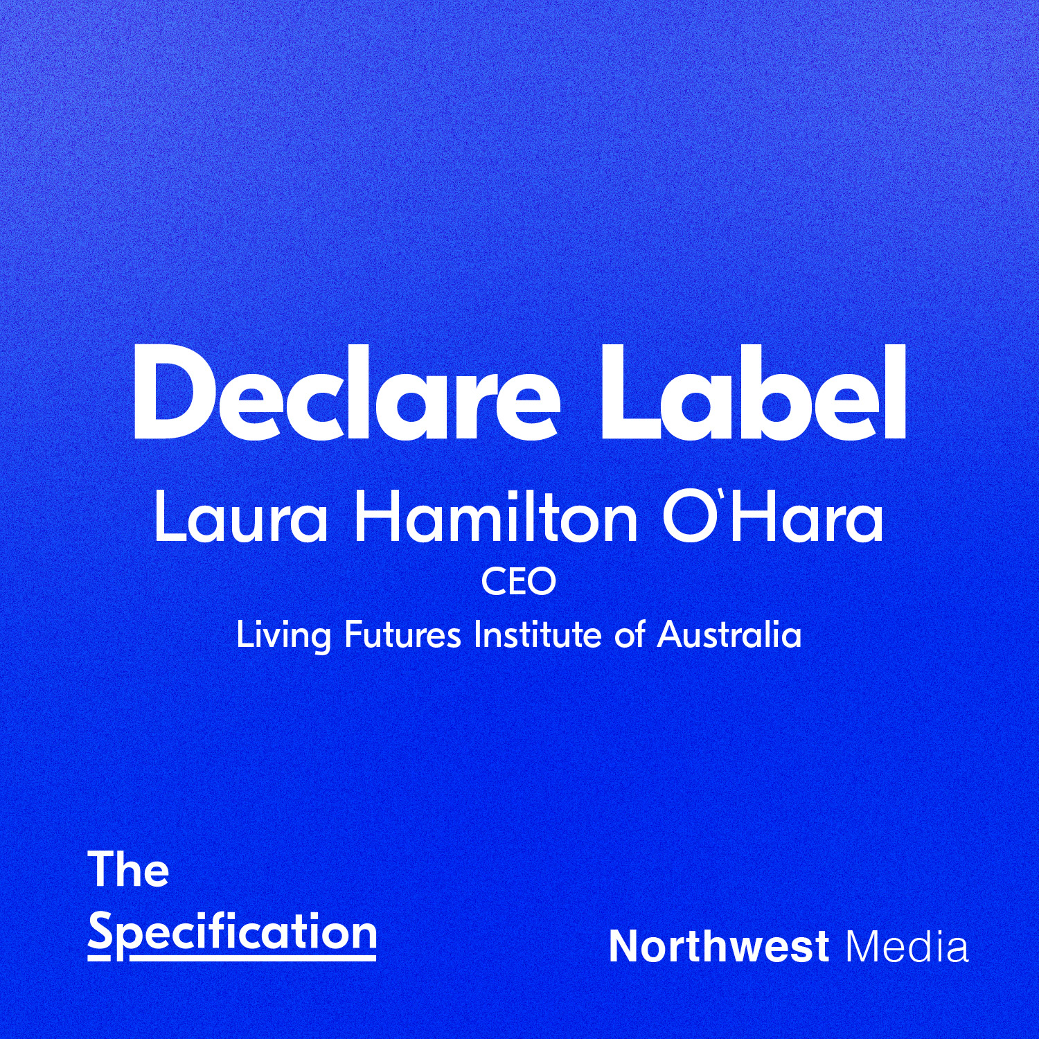 The Specification