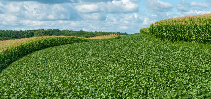 Off-Farm Income