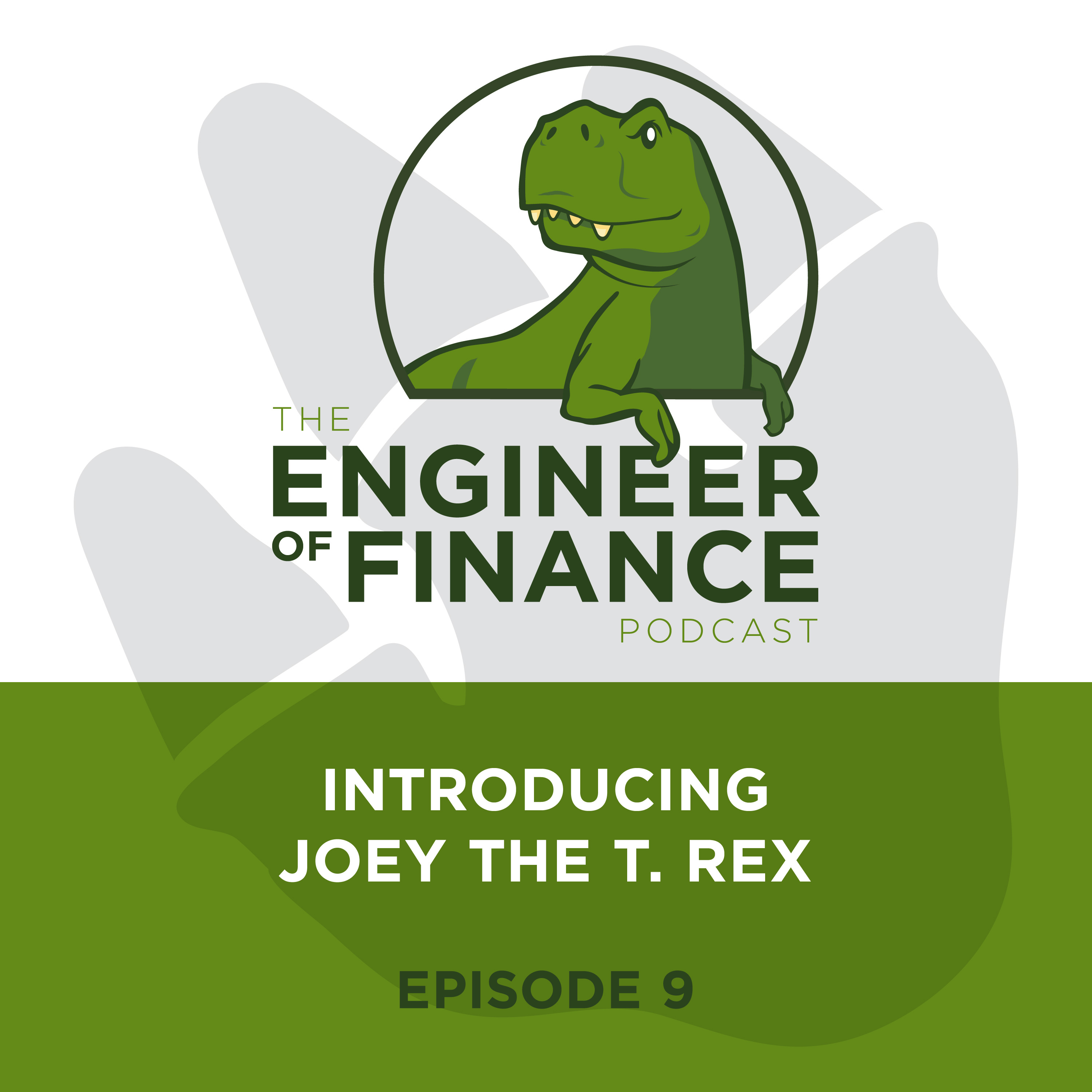 Engineer of Finance