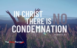 The Daily Promise
