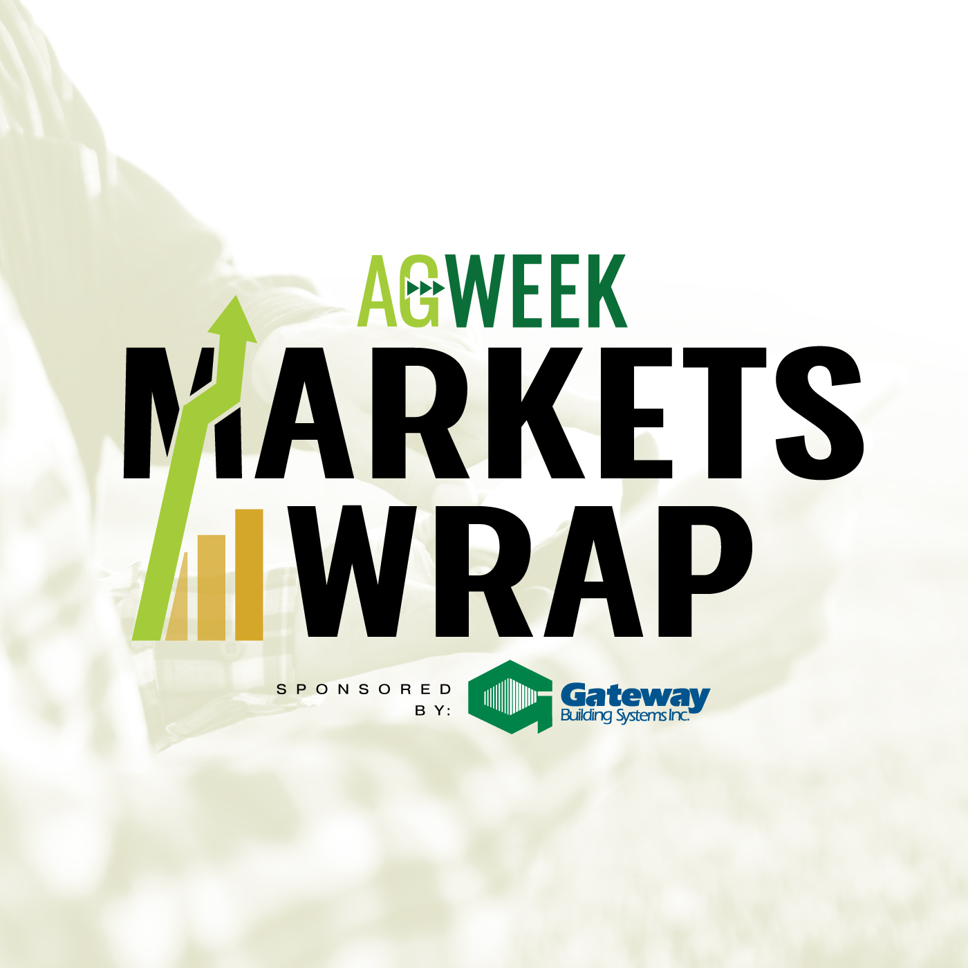 Agweek Market Wrap: Cattle markets react to bird flu news, grains slip lower