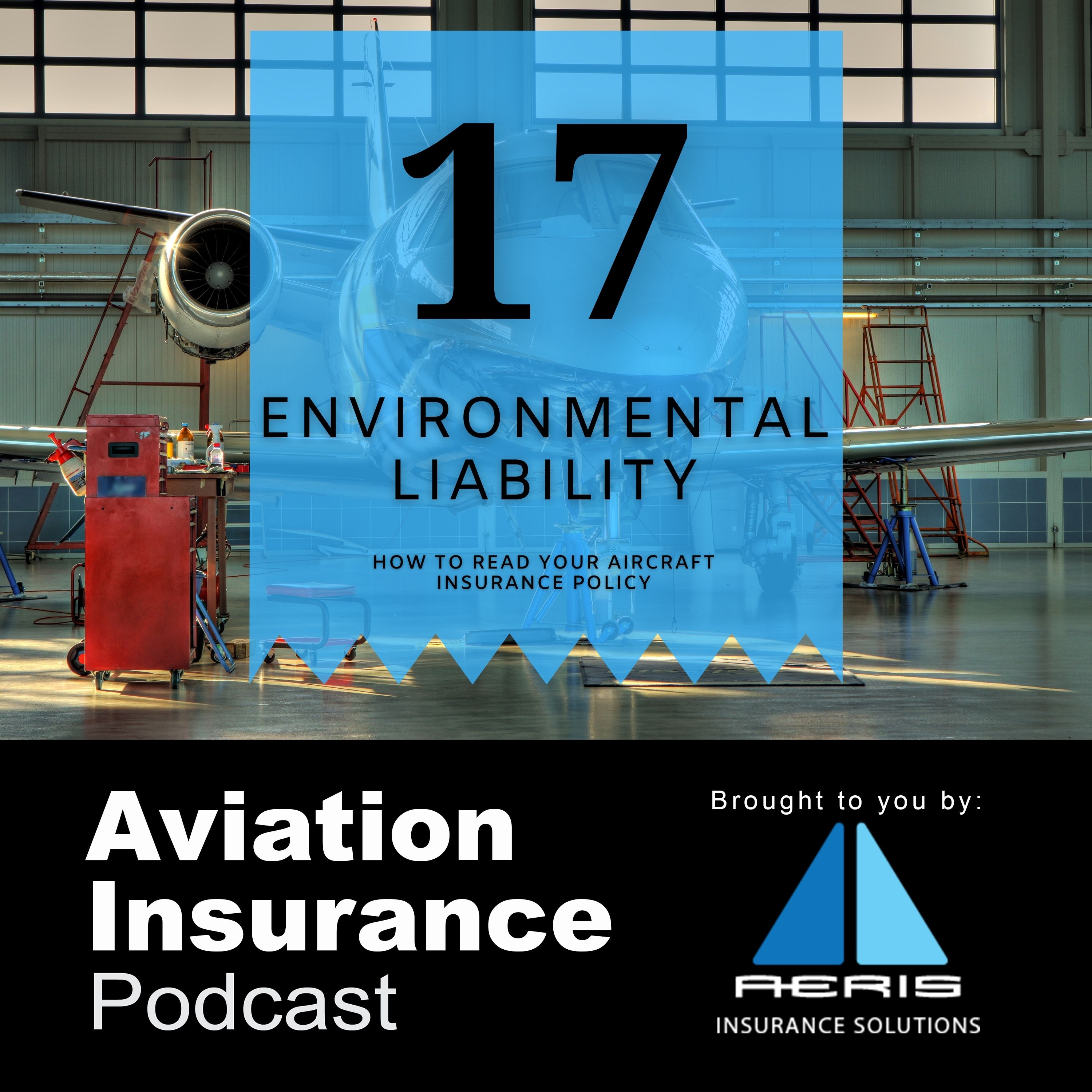 Episode 17: Environmental Liability