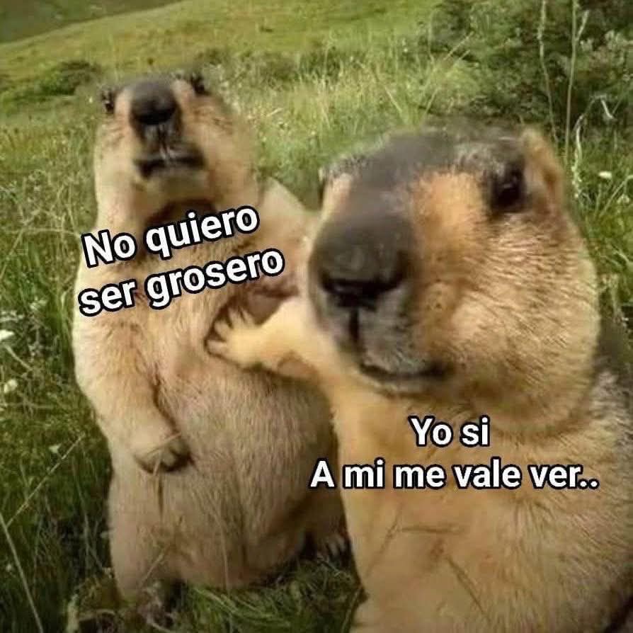 EP120 SNOW casi se convierte en caos… y la comunidad la transformo en fiesta epica.