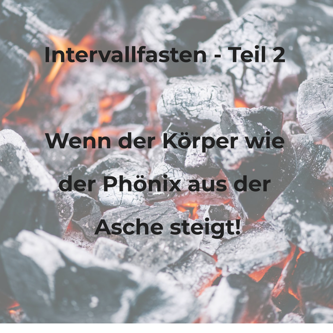 Wunderwelt Körper
