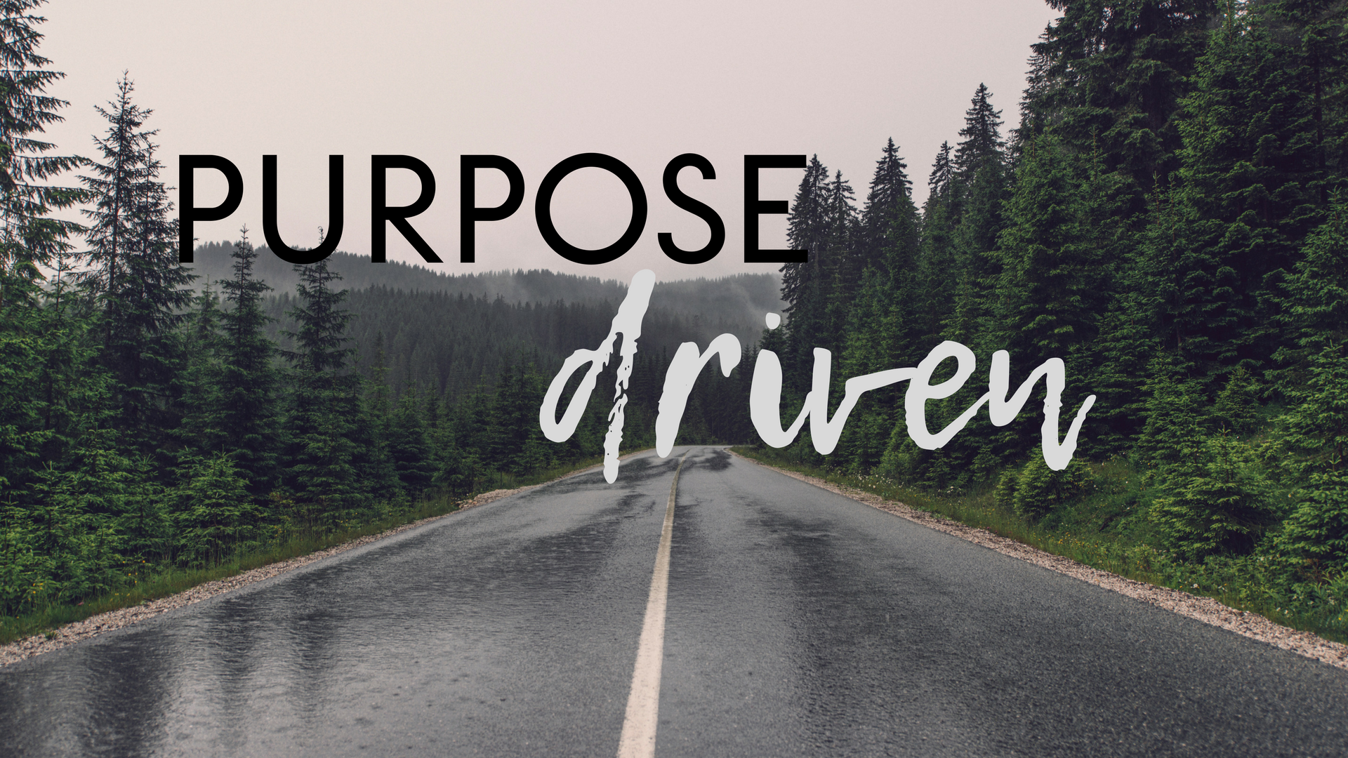 Discovery Church Hky