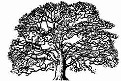 September 23, 2016 - AM- "Grace and Peace to You" - Romans 1:1-7 - Pastor John Cook