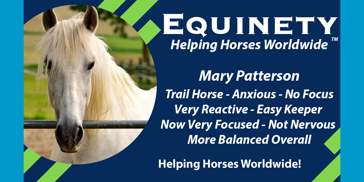Team Equinety Podcast