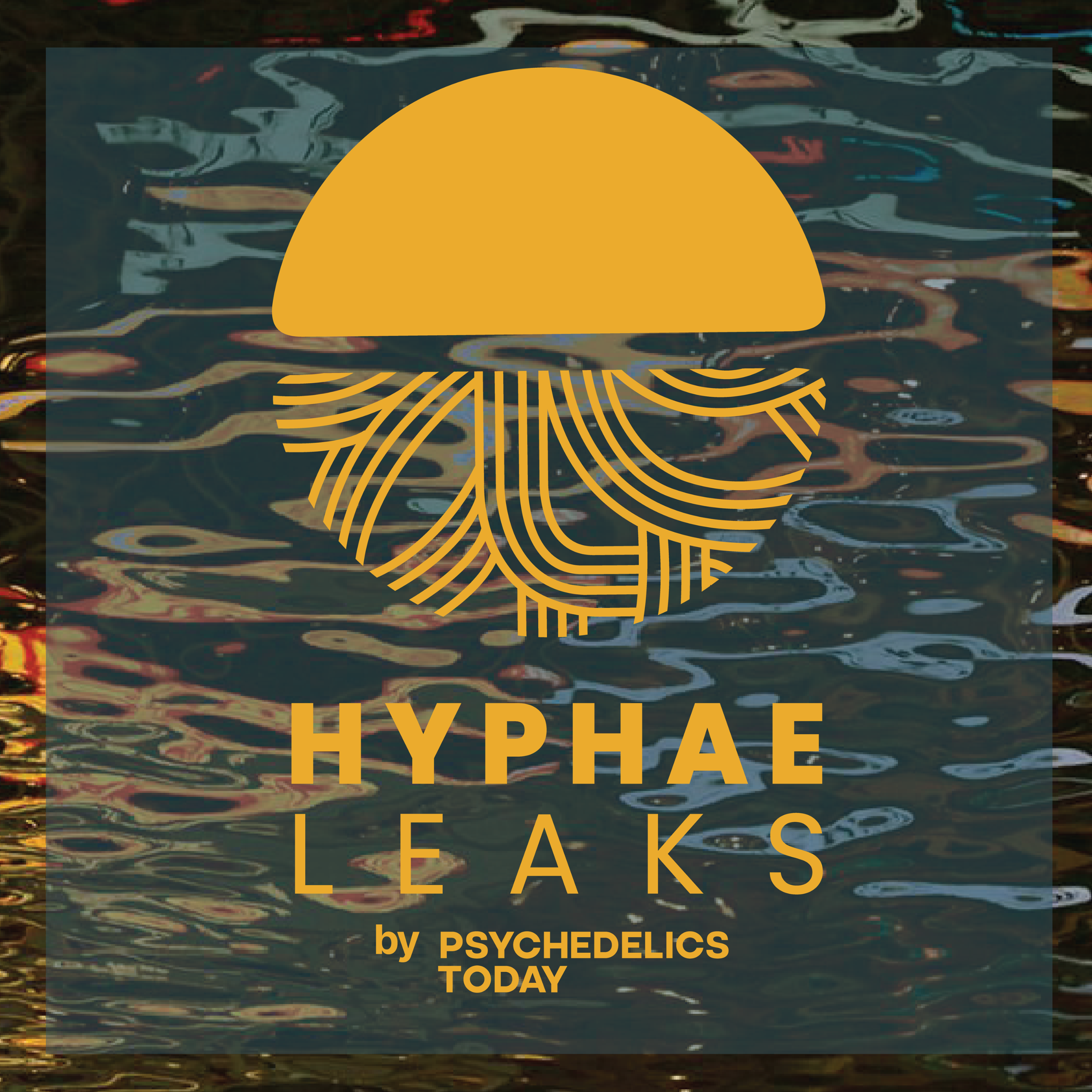 Hyphae Leaks - Season 2 Episode 1 - Caroline Phillips