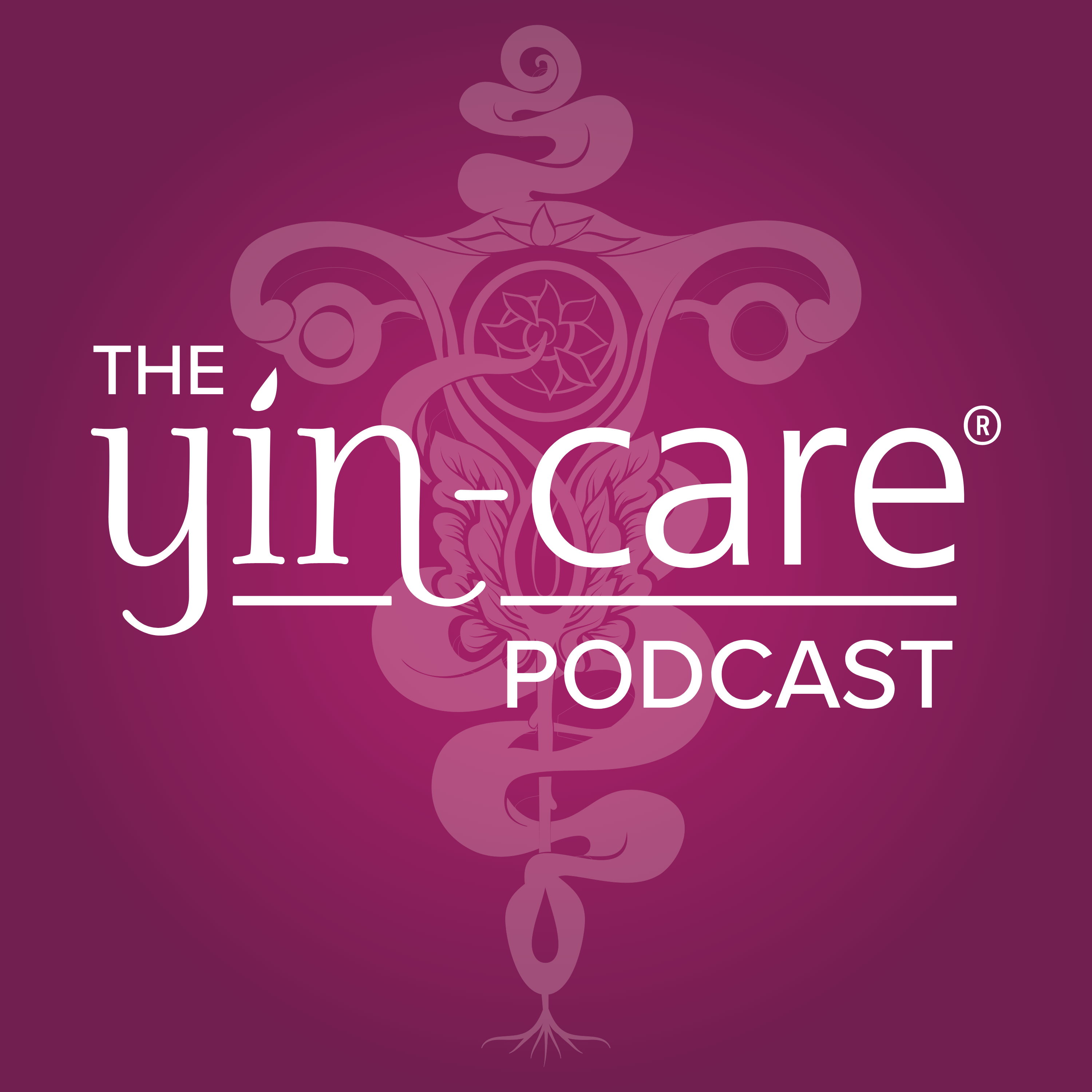 Ep 47: Finding Justice in the Face of Obstetrical Violence