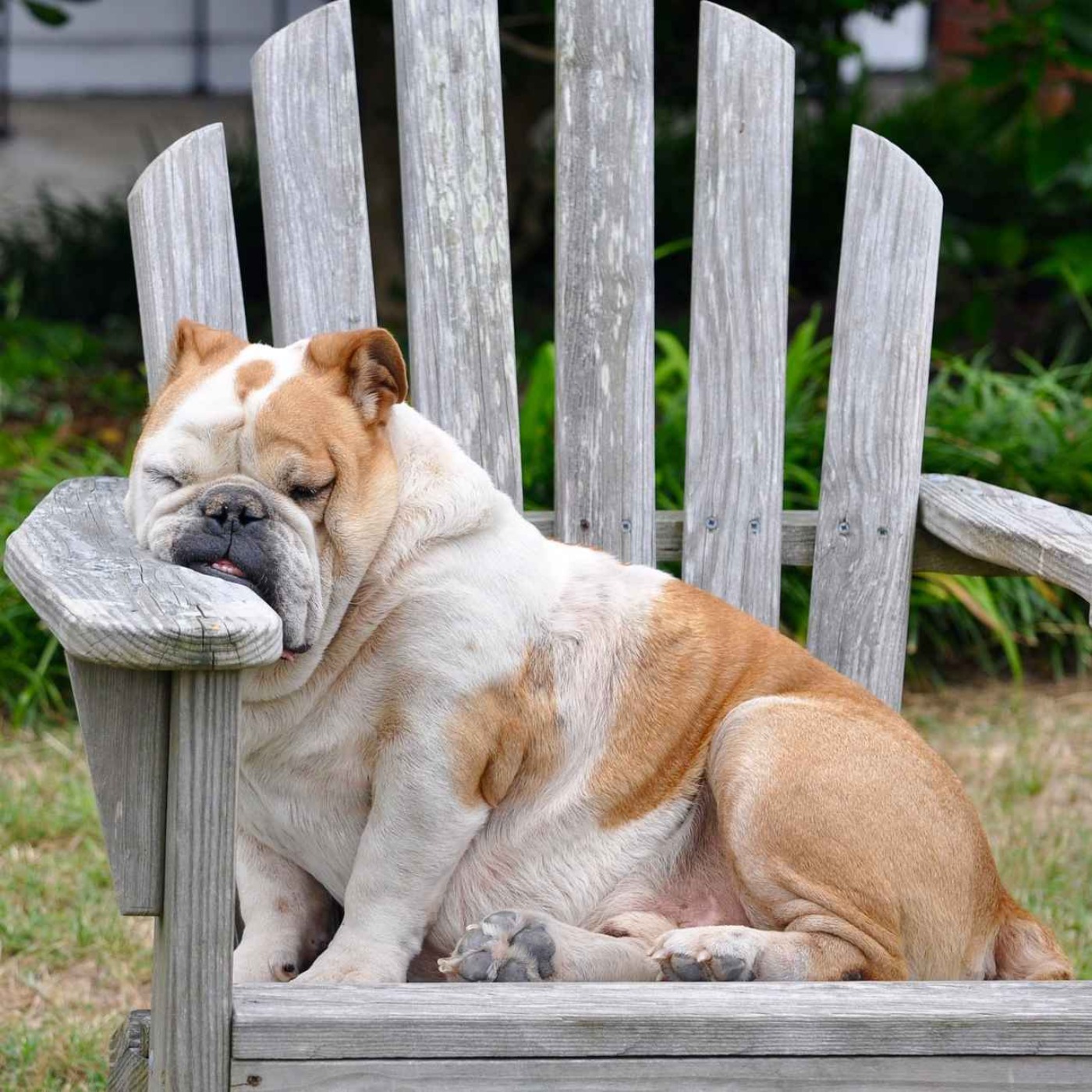 30-Minute POWER NAP for Energy and Focus: The Best Binaural Beats