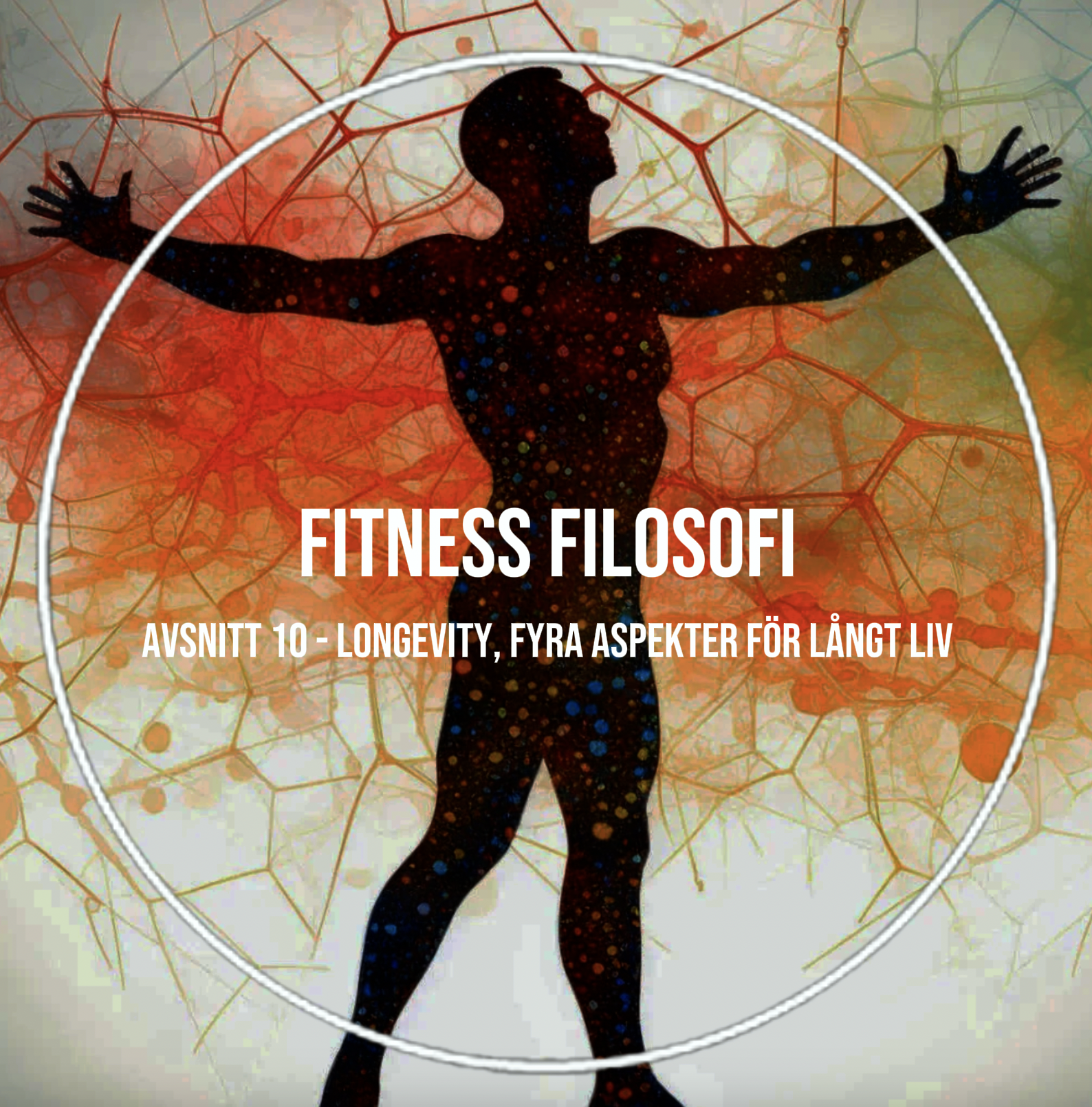 Fitness Filosofi