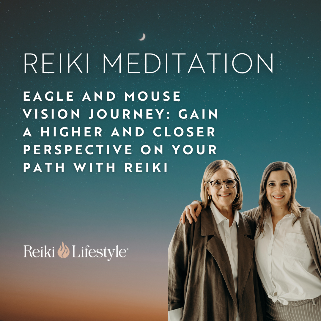 Eagle and Mouse Vision Journey: Gain a Higher and Closer Perspective on Your Path with Reiki