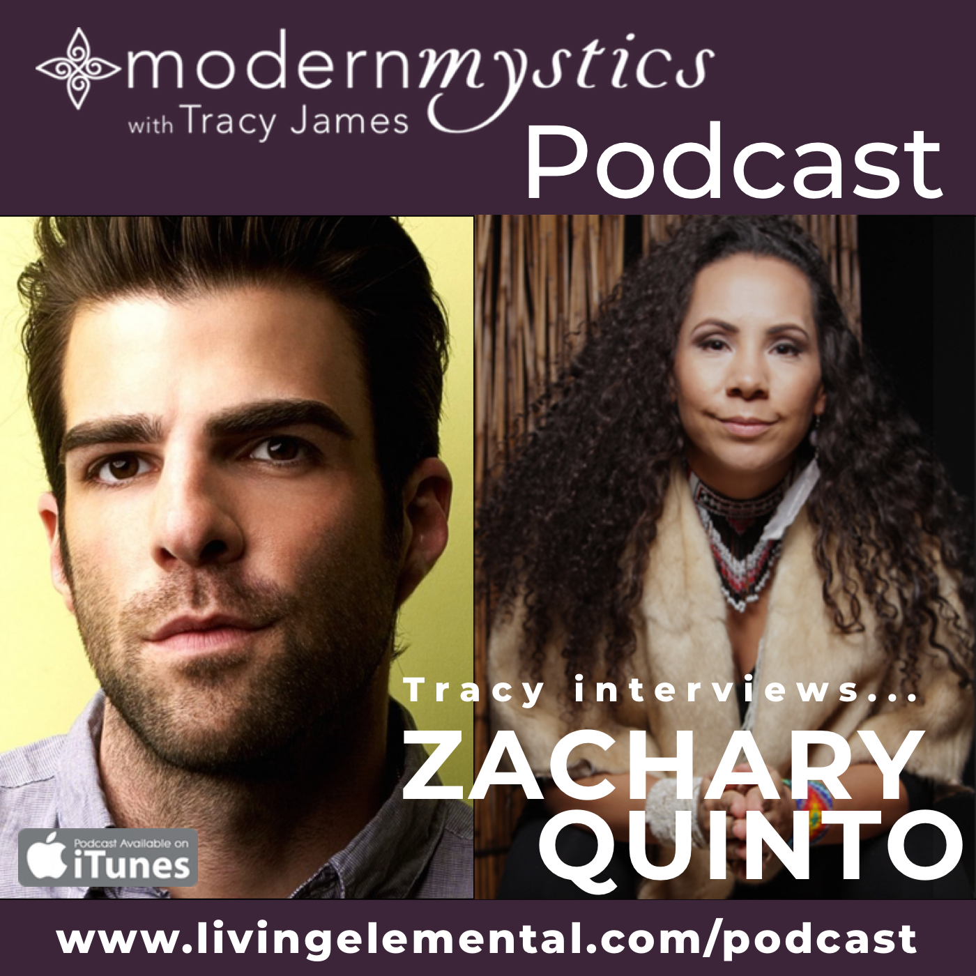 Braving the Elements Podcast with Tracy James