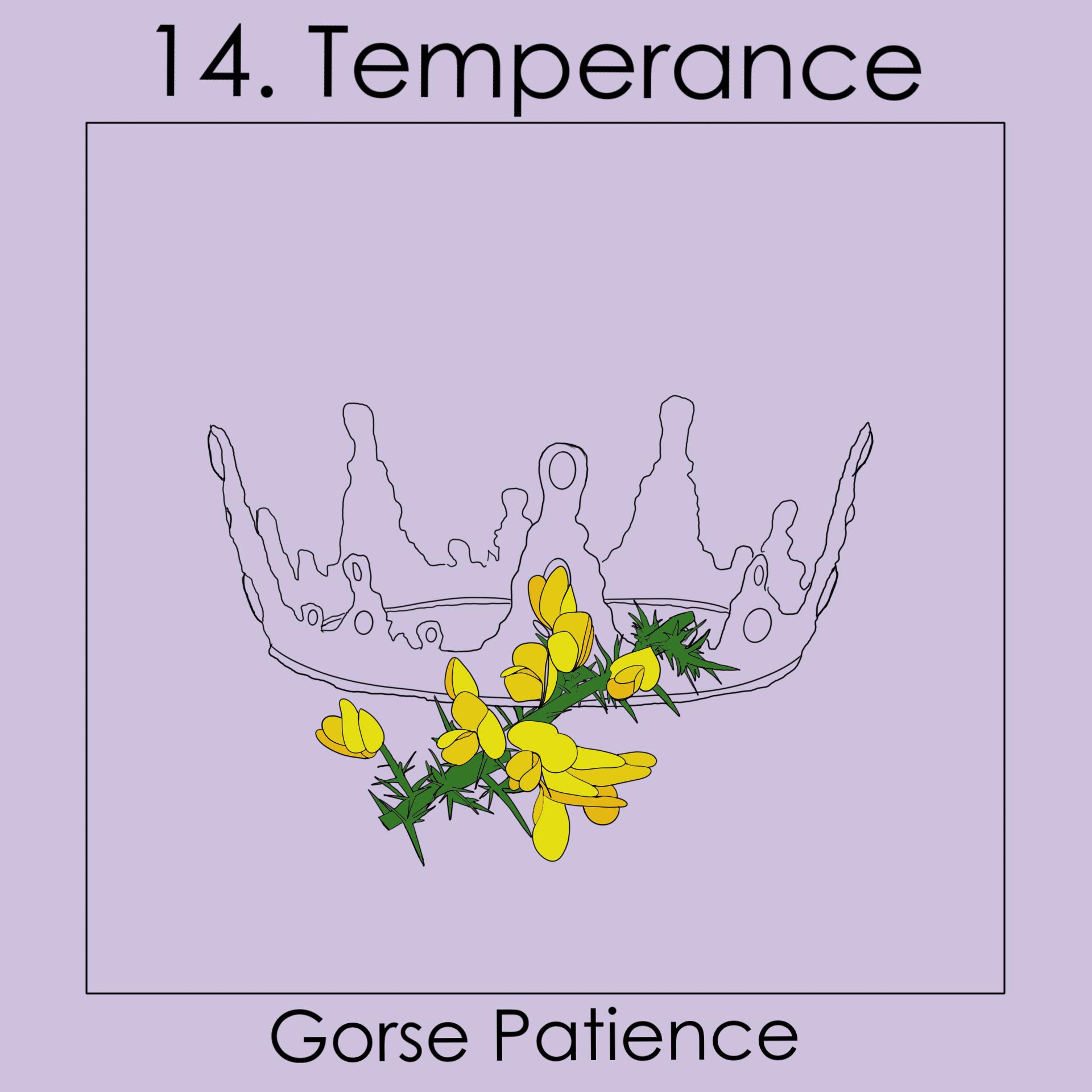 14 Temperance