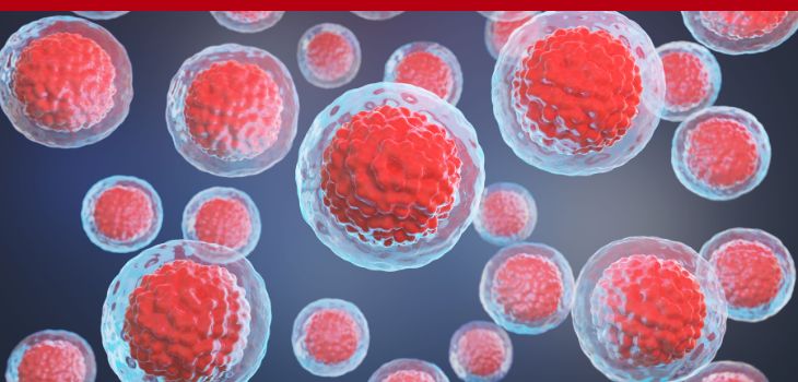 646: Stem Cells Therapy Explained: How to Choose the Right Stem Cell Treatment for Pain Relief and Longevity with Joshua Ketner