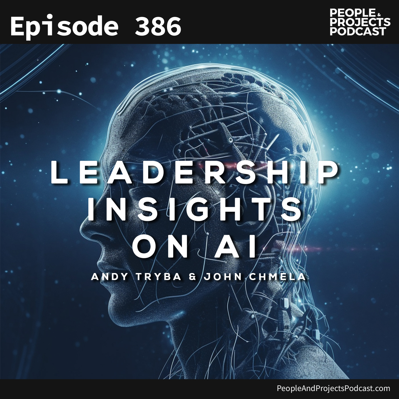 cover of episode PPP 386 | AI Insights From A CEO (Andy Tryba) And A Friend (John Chmela)