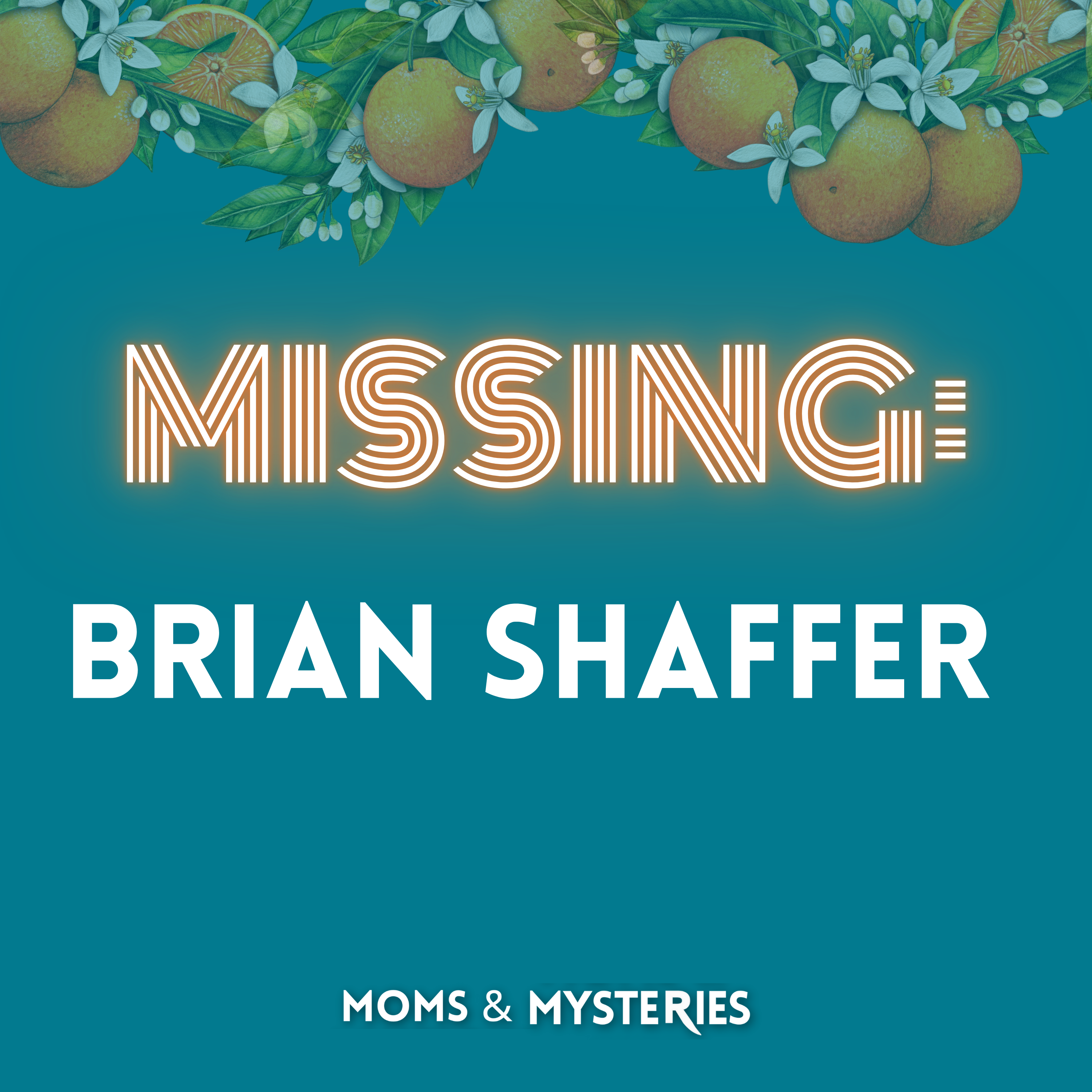 cover of episode MISSING: Brian Shaffer