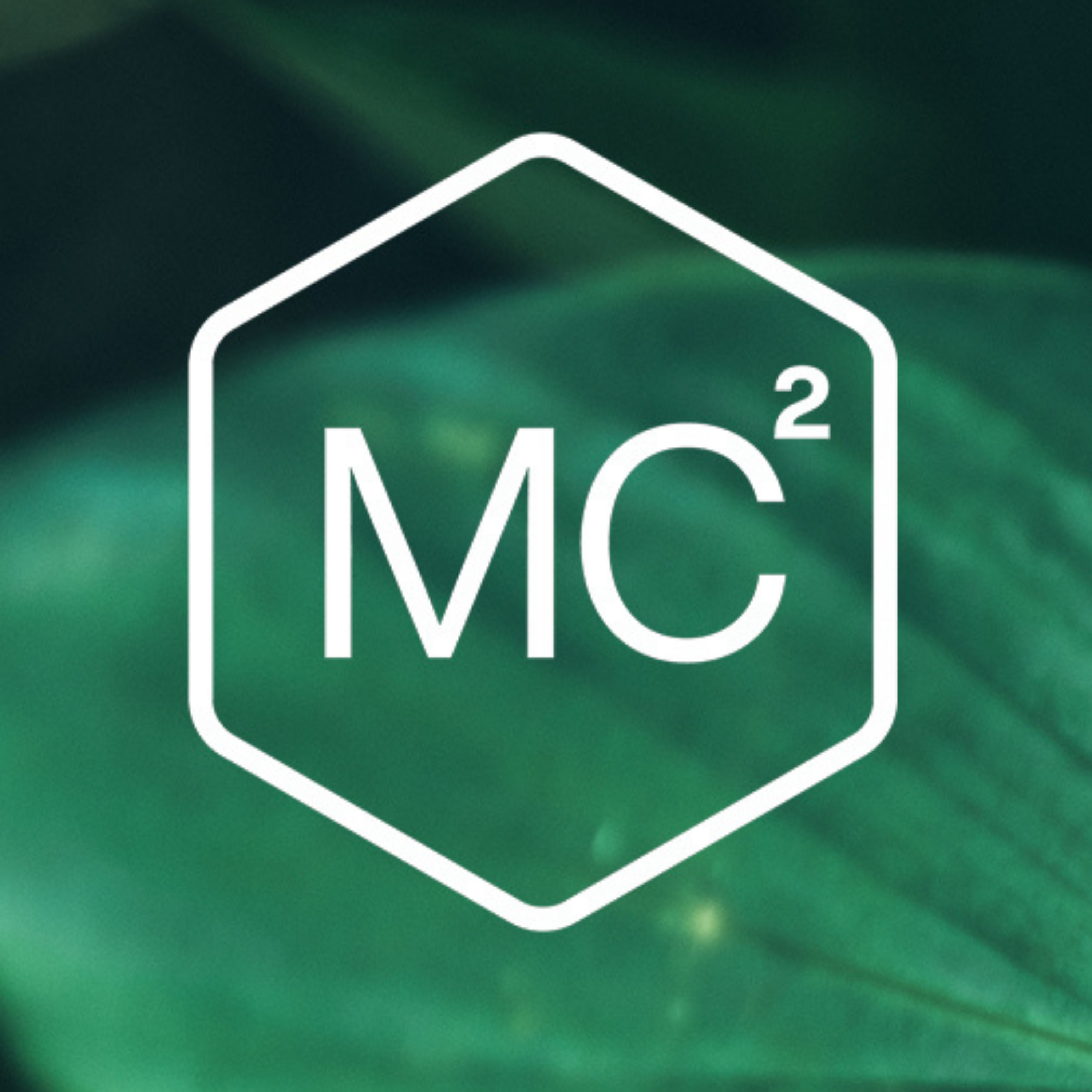 560. A 16-Minute Guided Meditation for Noticing the Beauty Around Us