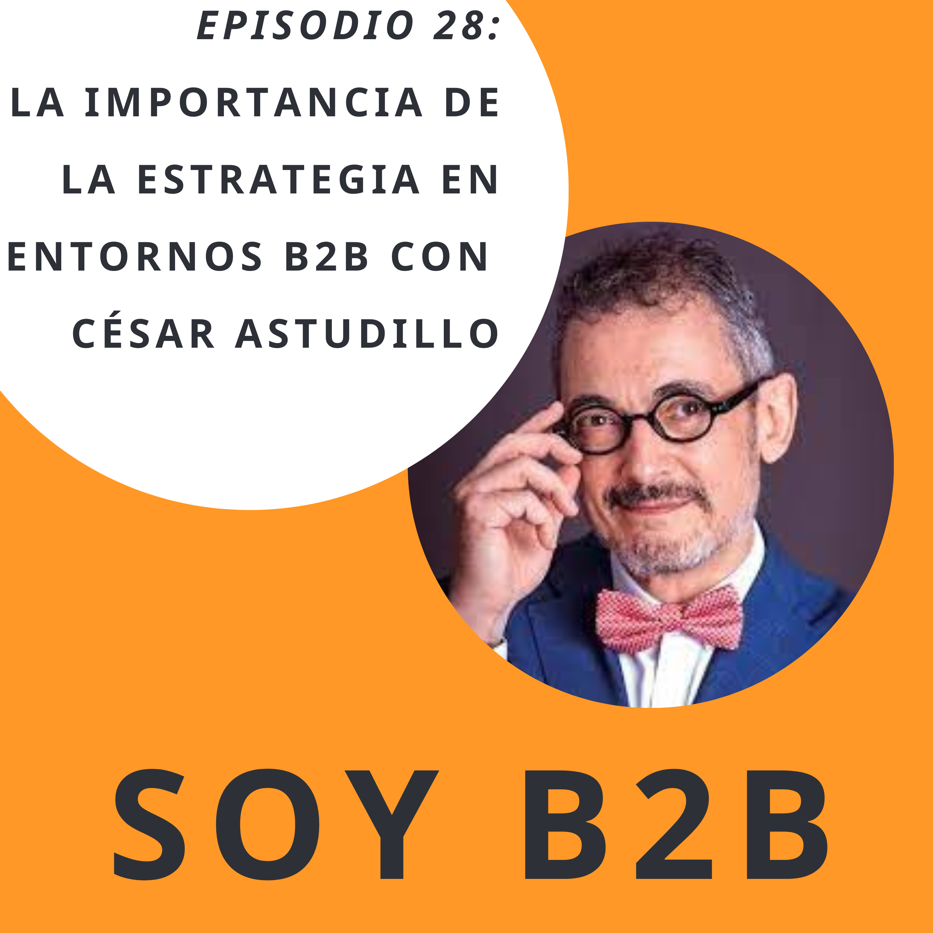 Soy B2B