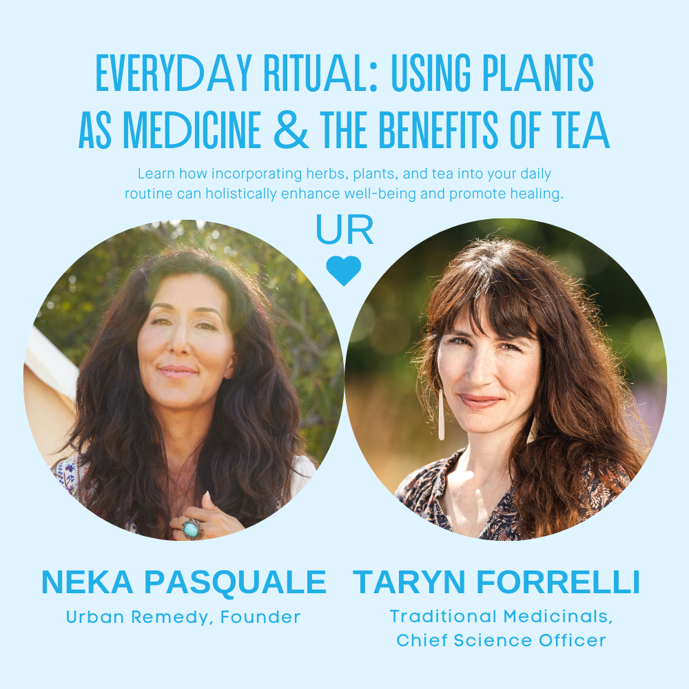 Everyday Ritual: Using Plants As Medicine & The Benefits Of Tea