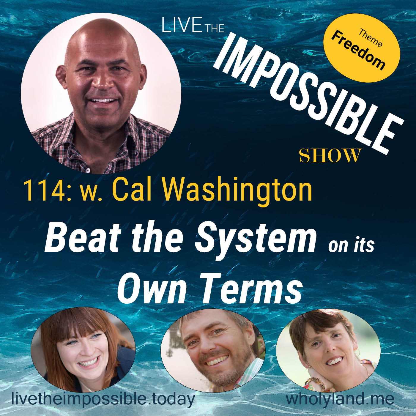 114 w. Cal Washington: Beat the System on its Own Terms [Freedom Theme]