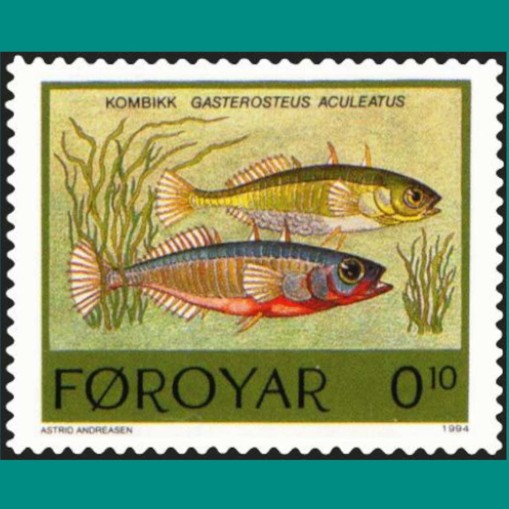 Fishy Decorators