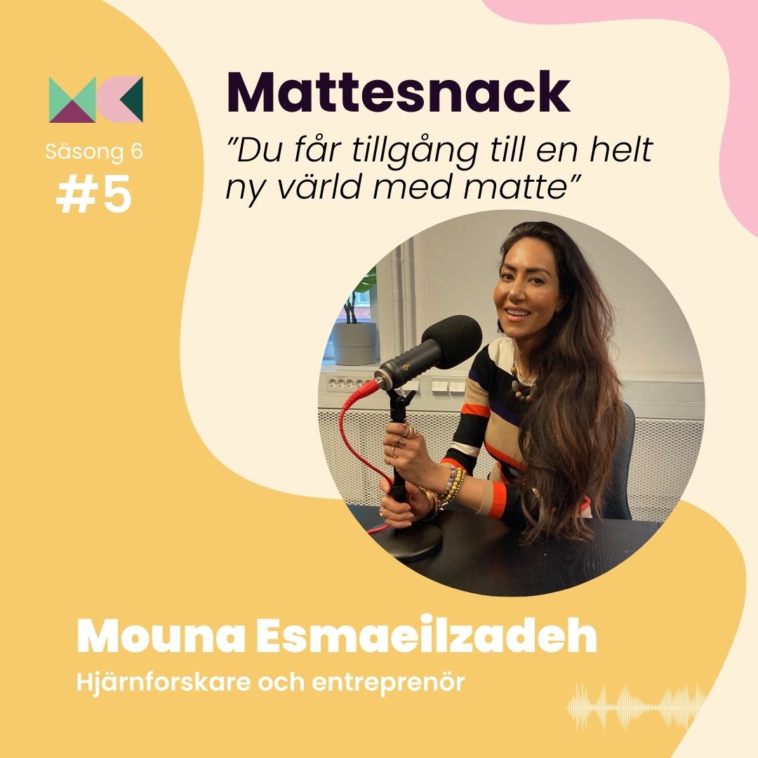 6-5 Mouna Esmaeilzadeh - neuroforskare och entreprenör 6-5 Mouna Esmaeilzadeh - neuroforskare och entreprenör