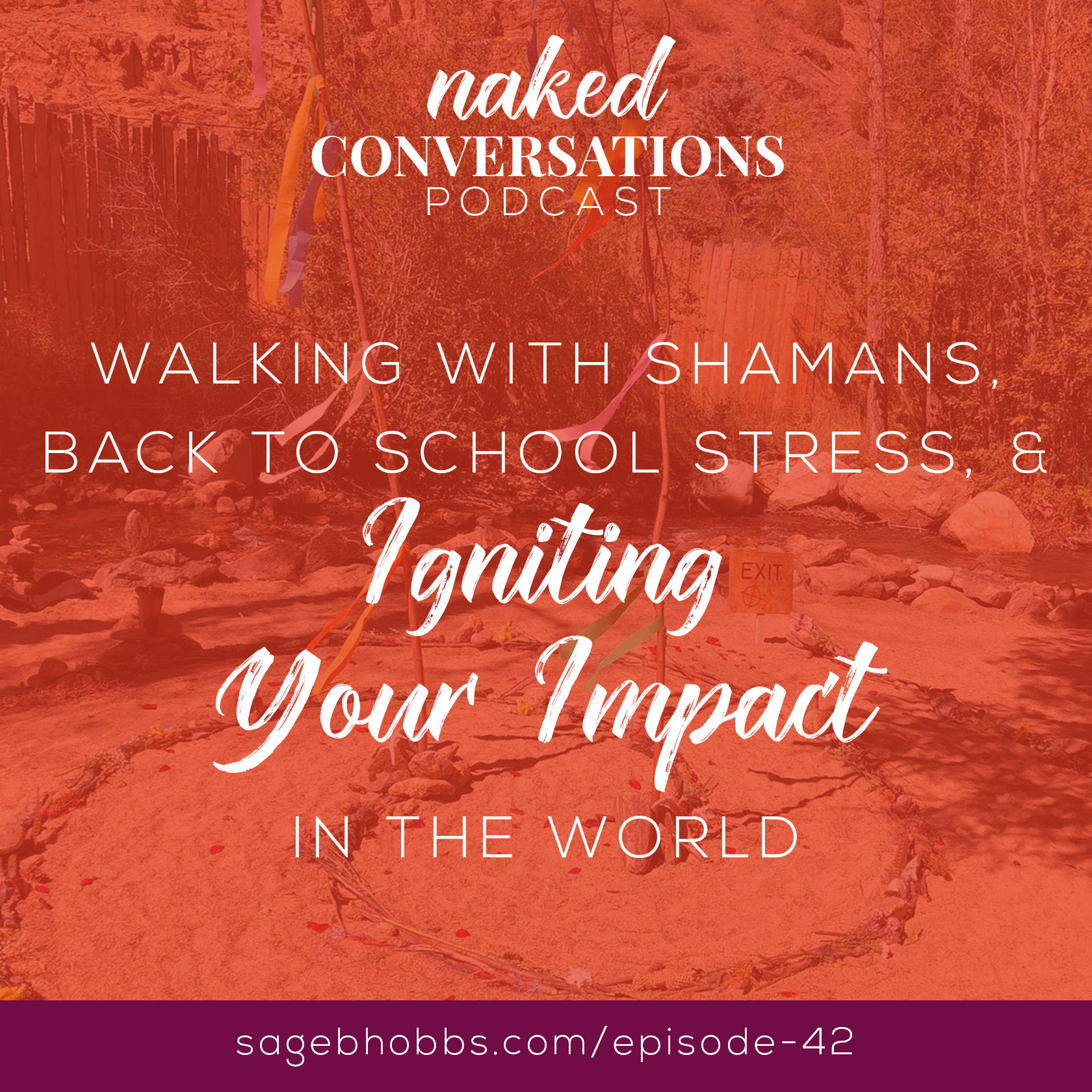 Naked Conversations: Race, Culture, & Beyond