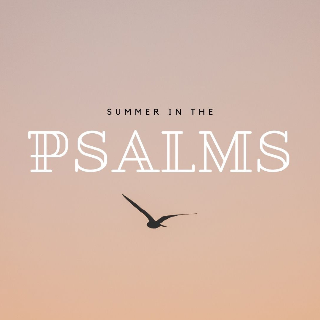 Peace in Affliction (Psalm 4)