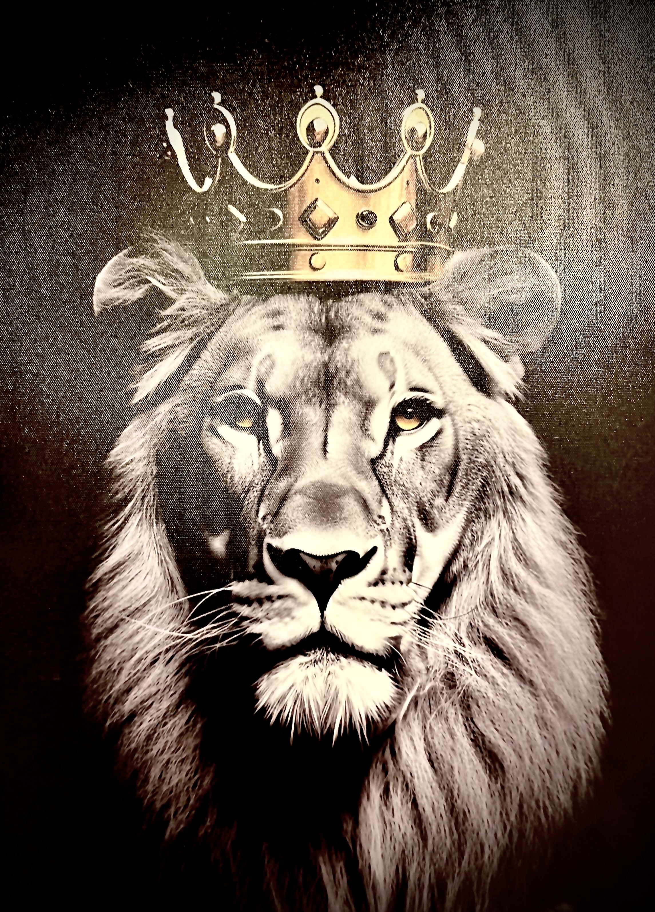 #233 : Disco House me up - 26th November, 2025