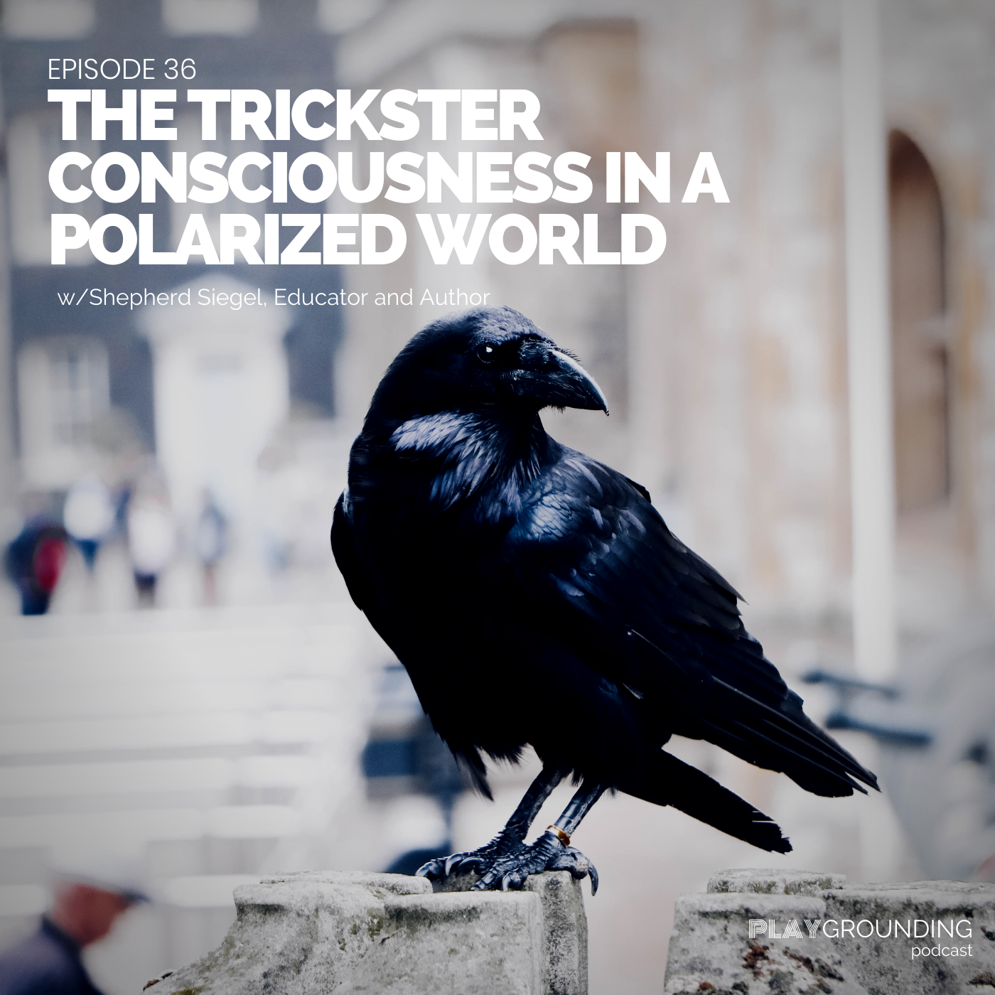 The Trickster Consciousness in a Polarized World with Shepherd Siegel