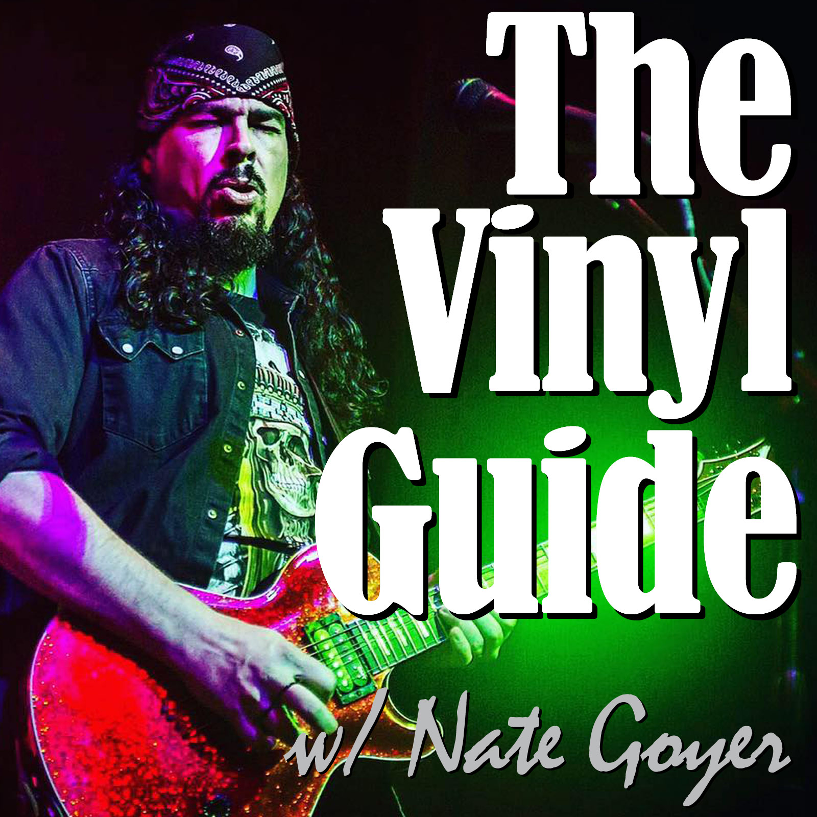 The Vinyl Guide - Artist Interviews for Record Collectors and Music Nerds