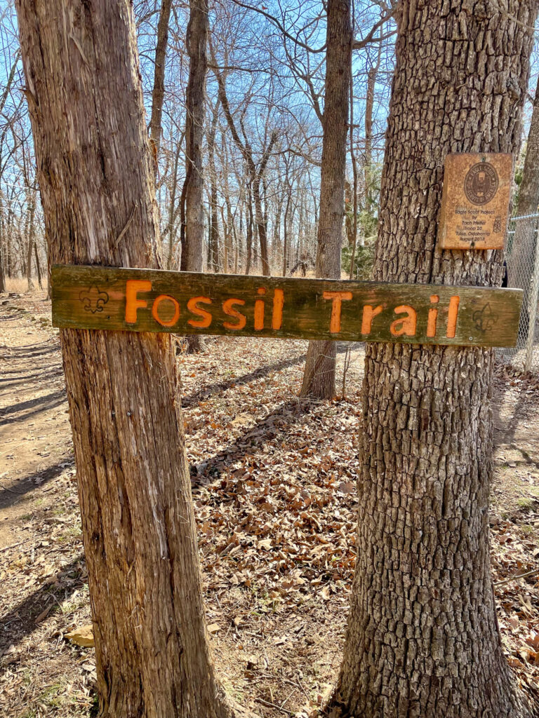 Fossil Finds and Fort Gibson Lake Adventures: Exploring Sequoyah State Park