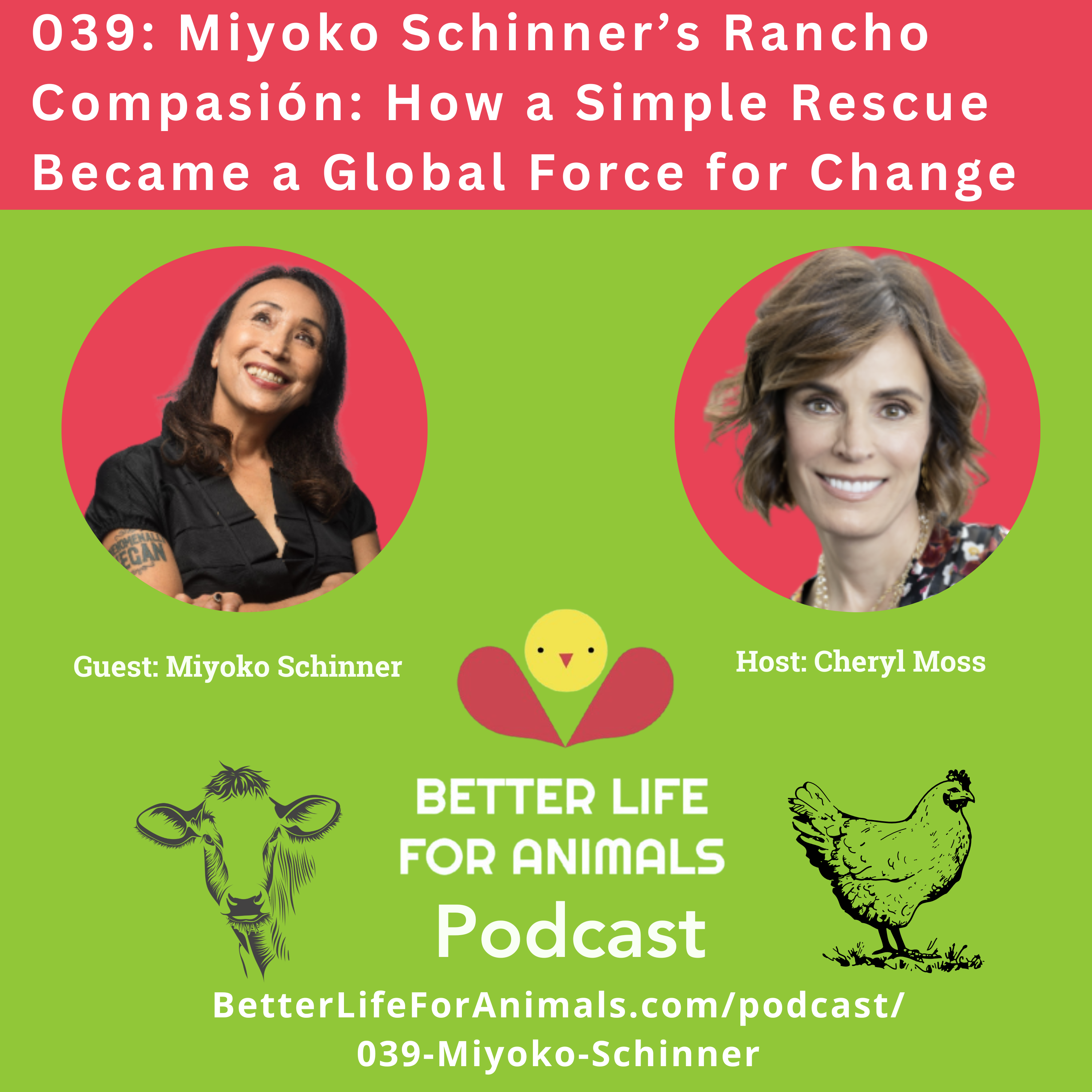 039: Miyoko Schinner's Rancho Compasión: How a Simple Rescue Became a Global Force for Change 039: Miyoko Schinner's Rancho Compasión: How a Simple Rescue Became a Global Force for Change