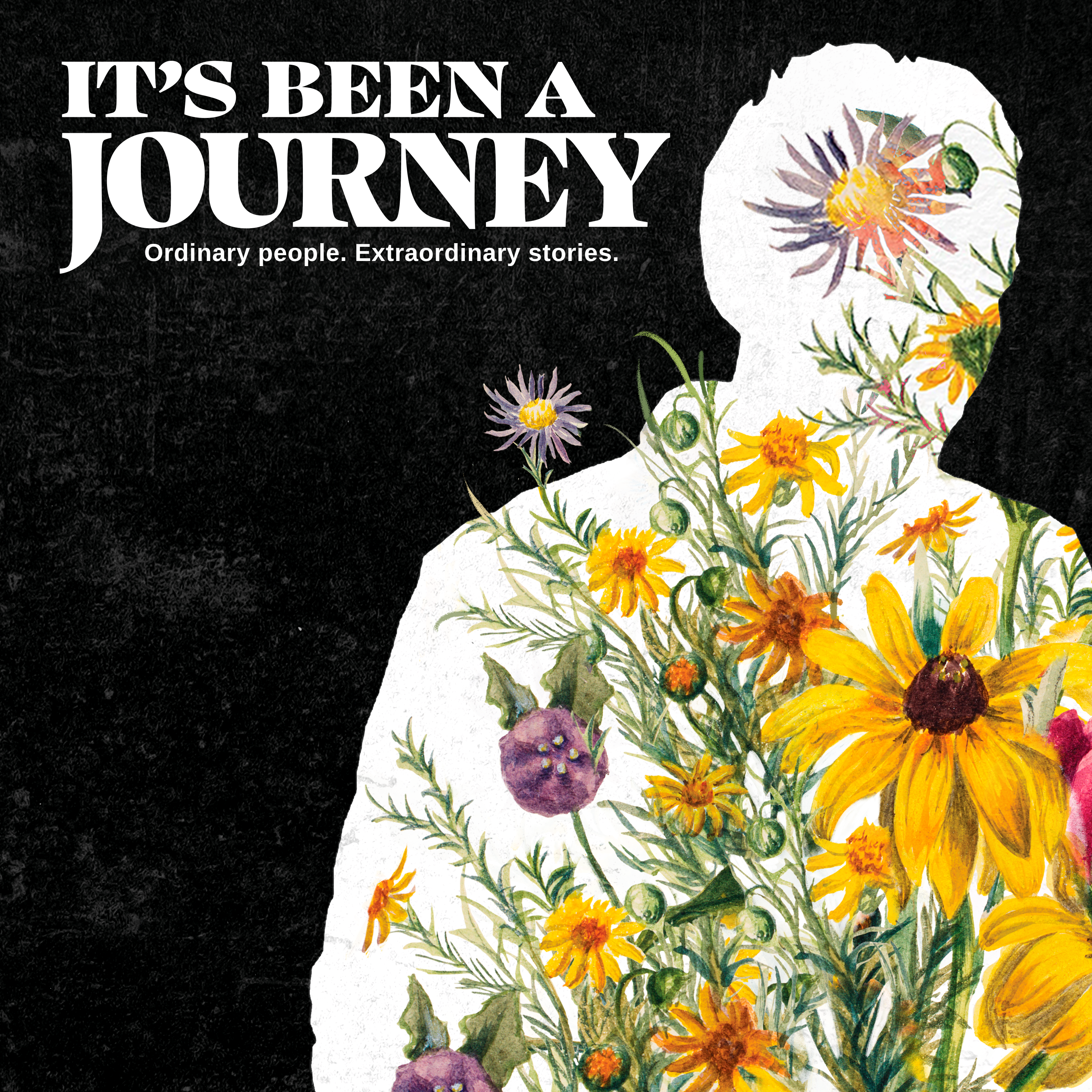 It's Been A Journey Podcast