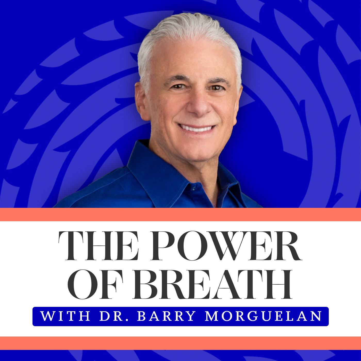 Energy For Success Podcast