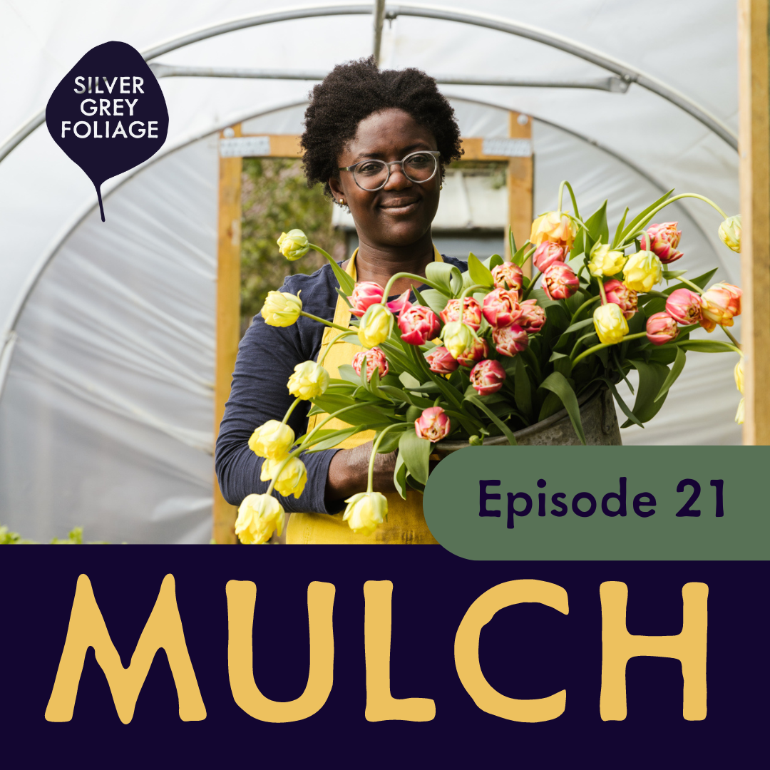 Mulch