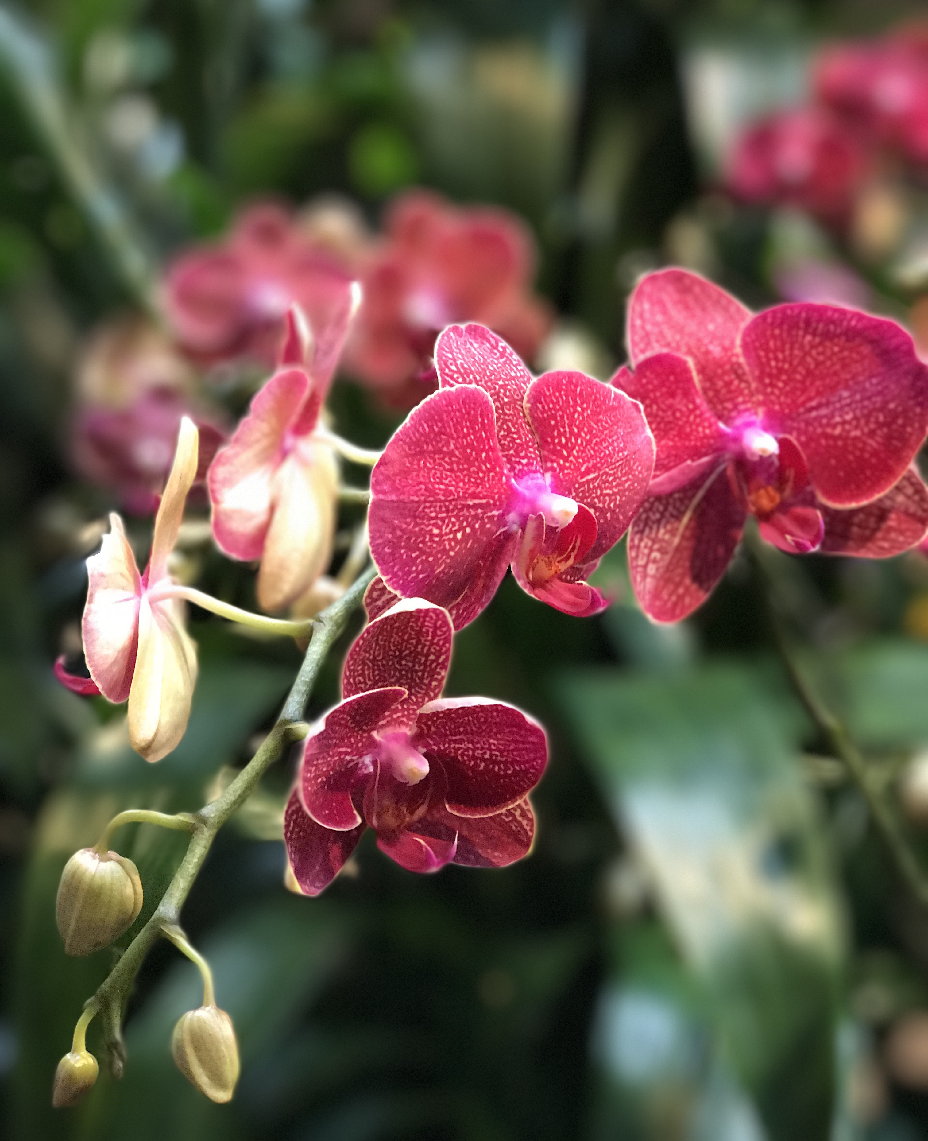 Spirit Source Connect: Infusing Spirit to Transform Your Life
