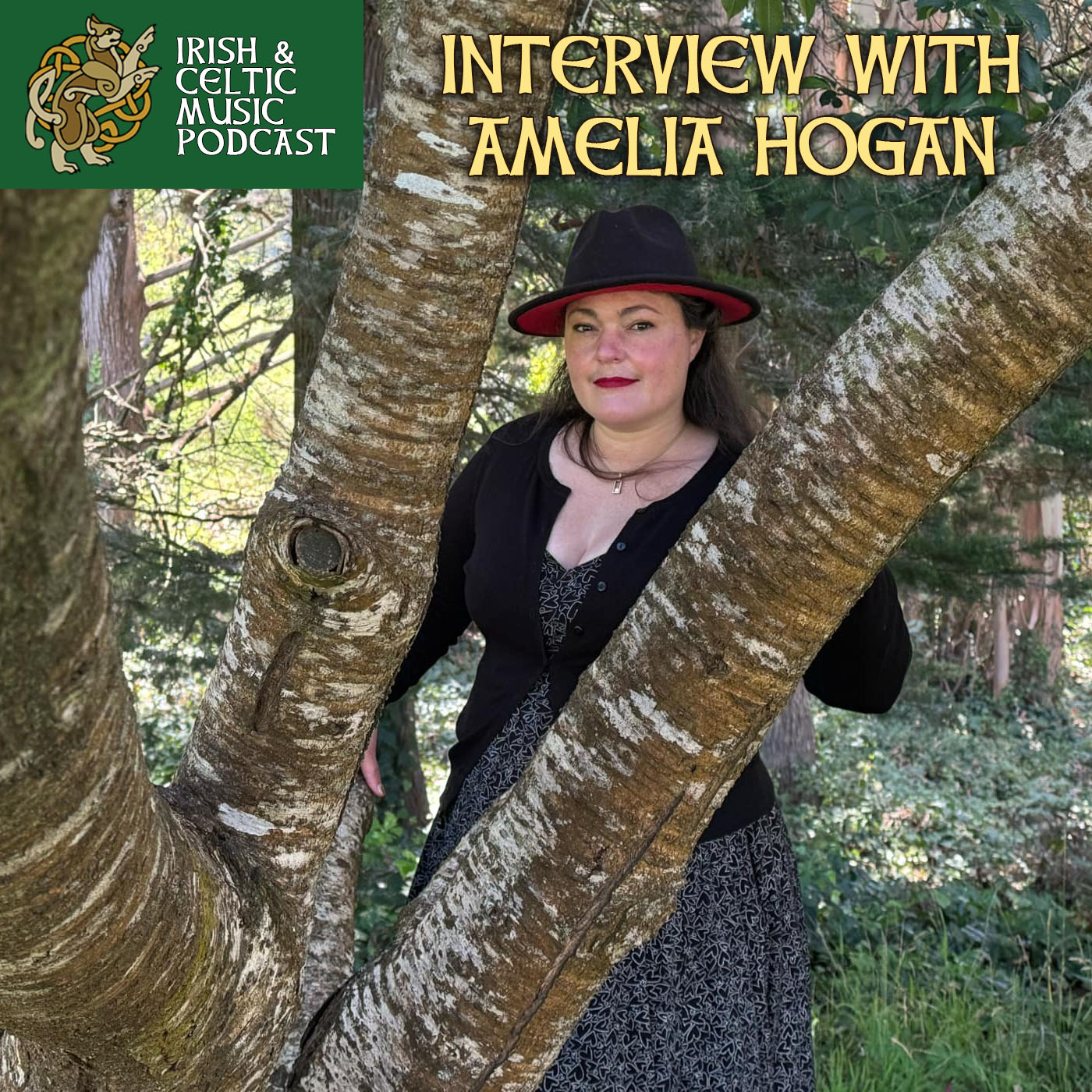 cover of episode Amelia Hogan Interview #706