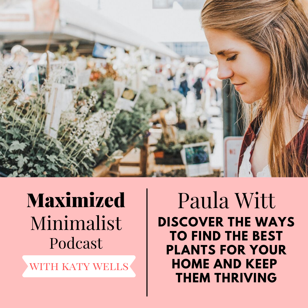 cover of episode 029: How to Find the Best Plants for Your Home and Keep Them Thriving