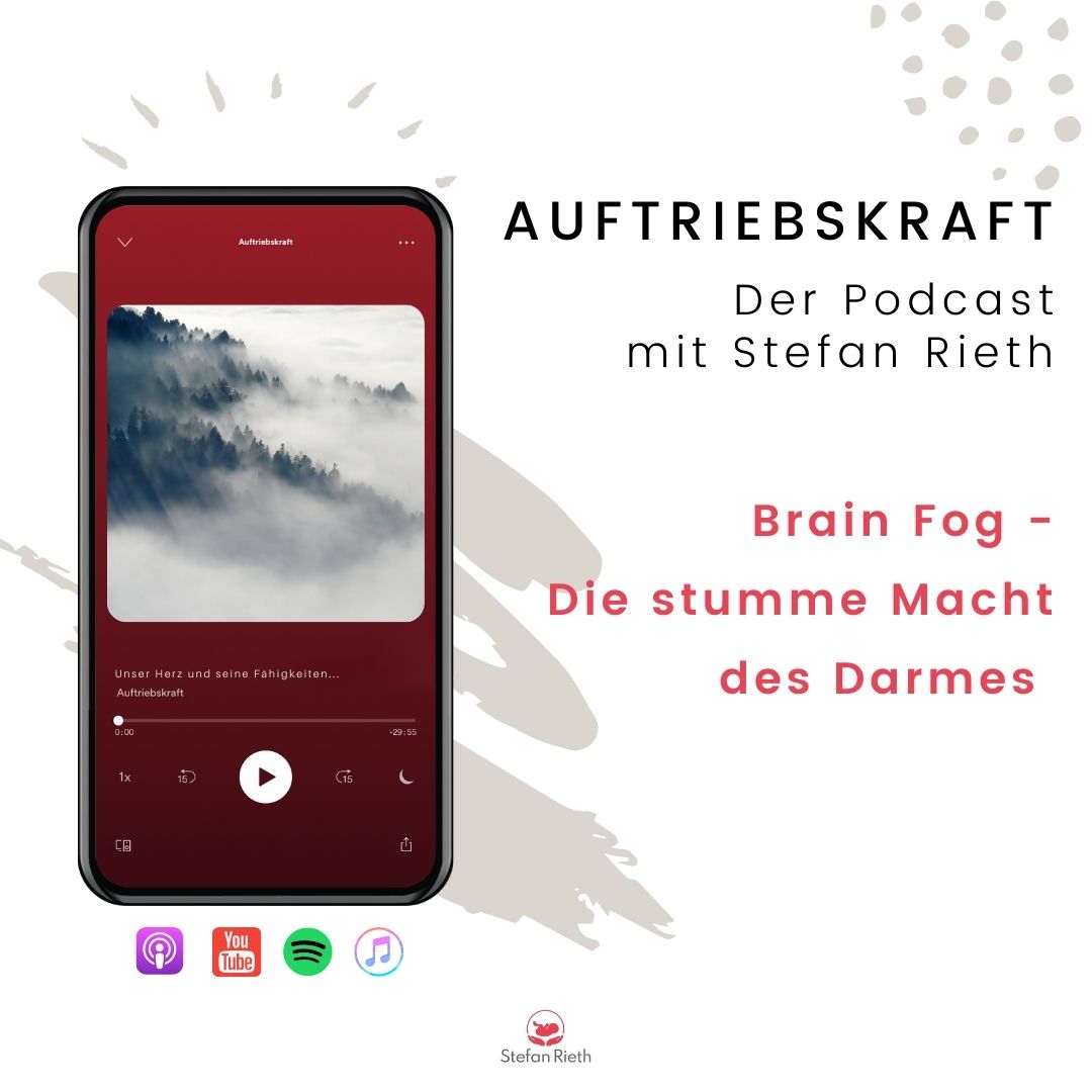 Stefan Rieth Podcast  - Einblicke in Neurozentrierte neuroaffektive Berührung