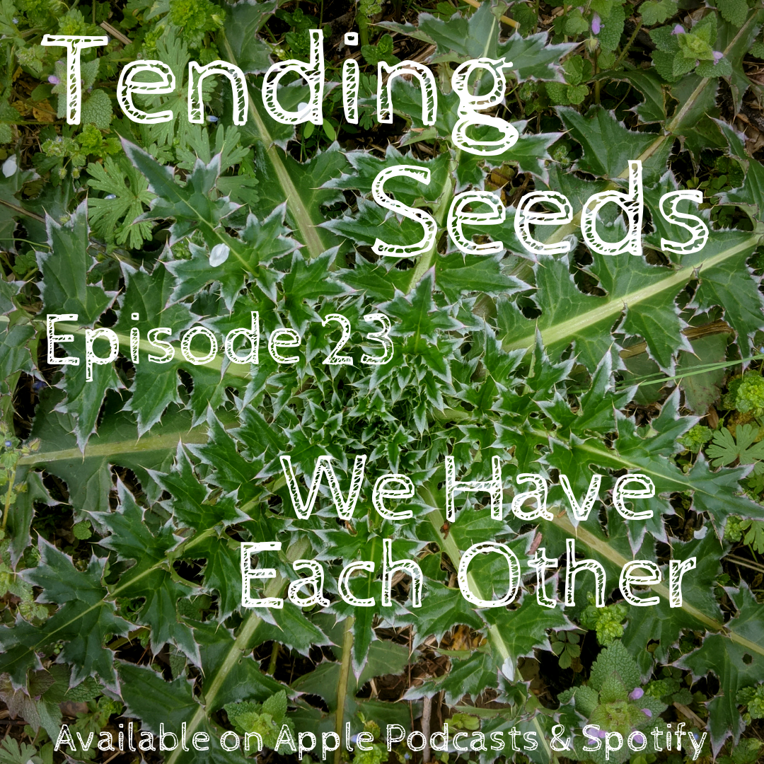 Tending Seeds: Adventures in Gardening, Homesteading, and Herbalism